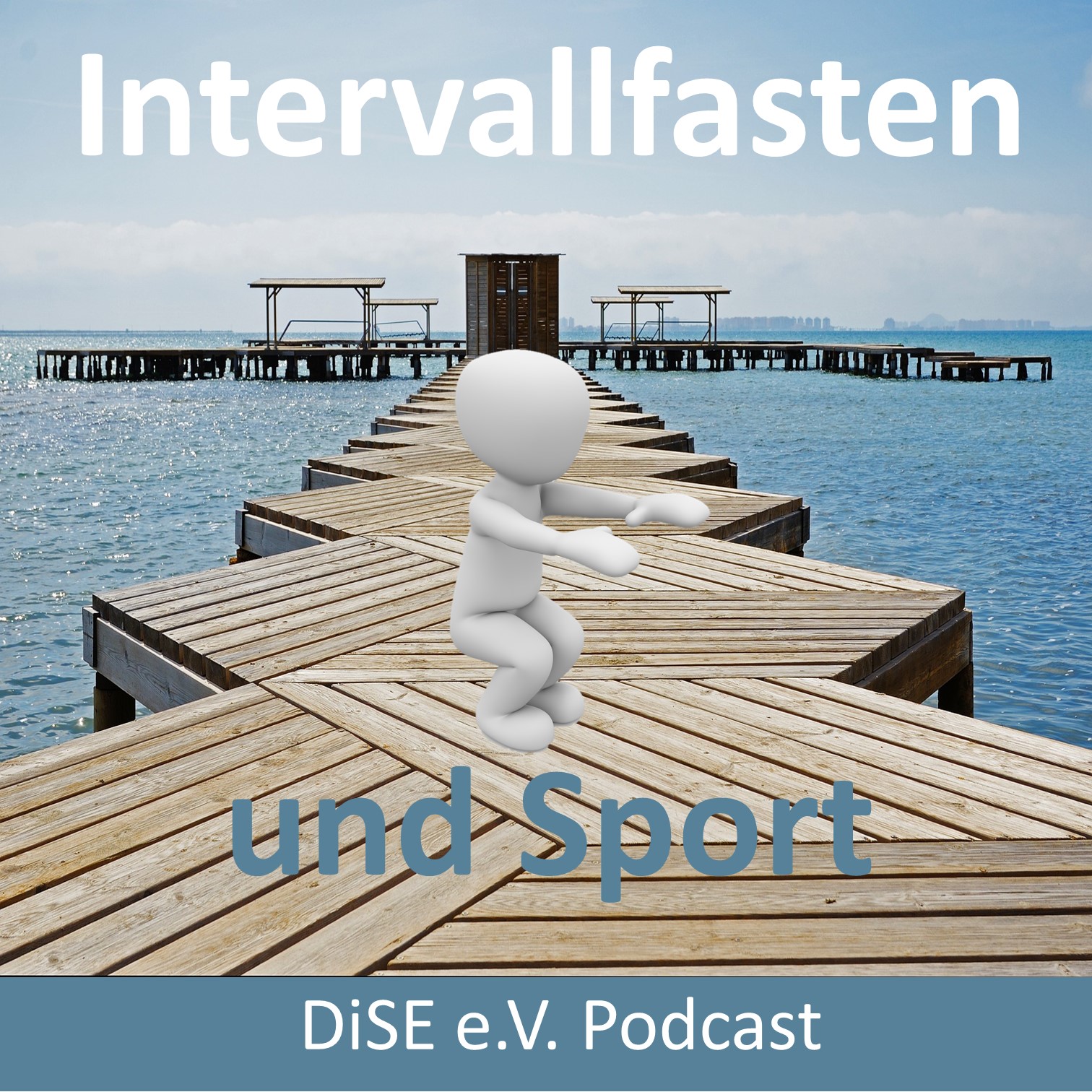 Deutsches Institut für Sporternährung e.V. (DiSE) Podcast