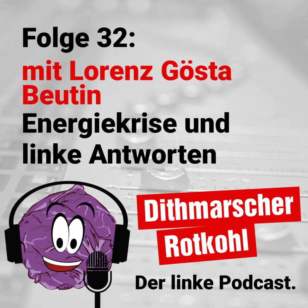 Energiekrise und linke Antworten - mit Lorenz Gösta Beutin