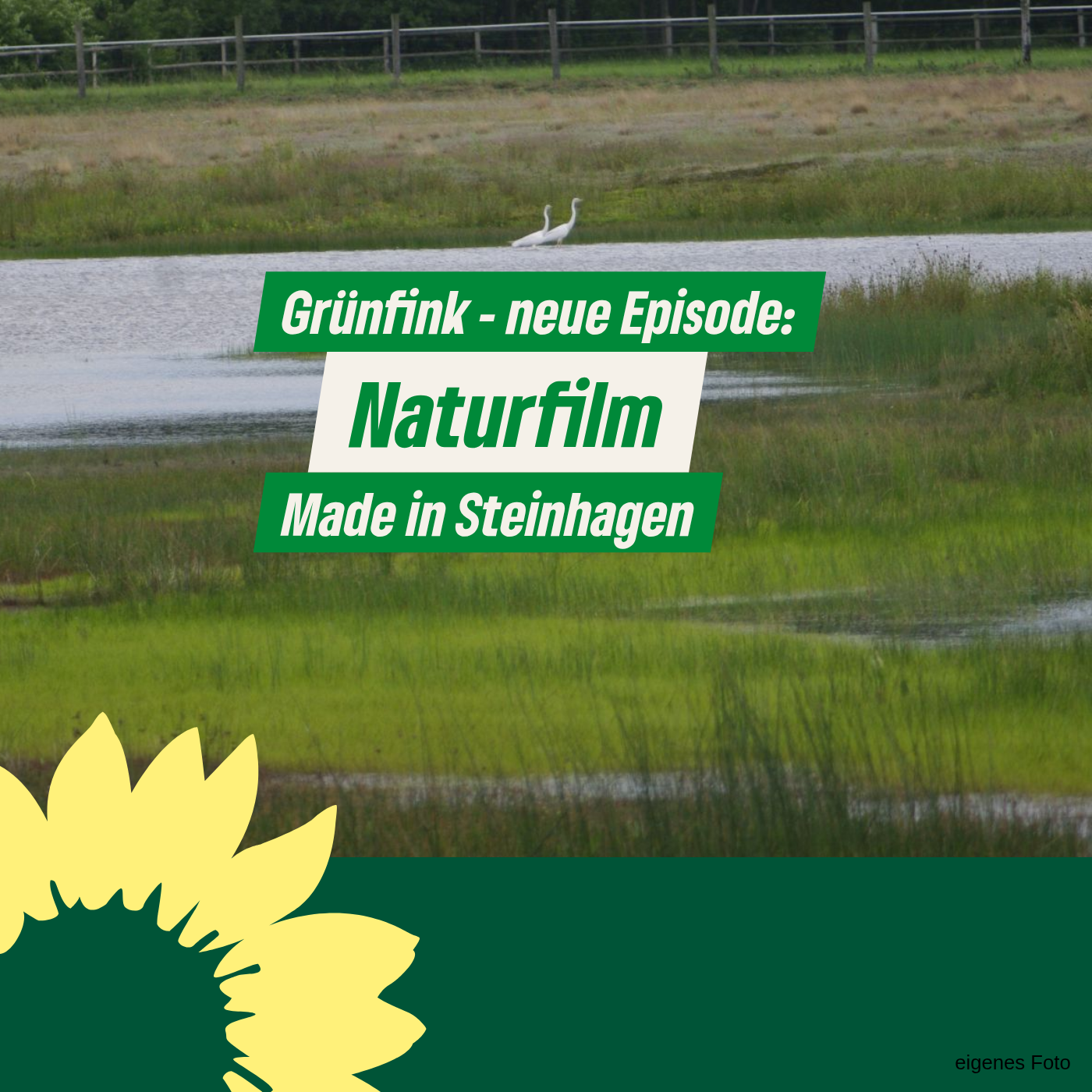 GRÜNfink - Ein Podcast der Grünen Steinhagen