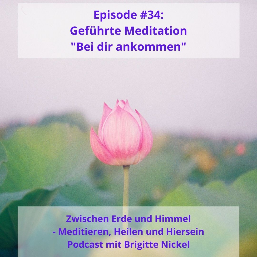 Zwischen Erde und Himmel - meditieren, heilen und hiersein
