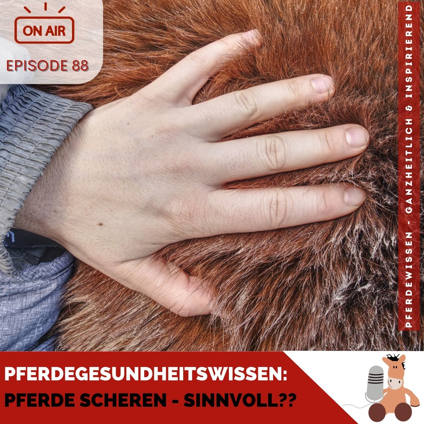 Pferdewissen - ganzheitlich & inspirierend mit Sandra Fencl