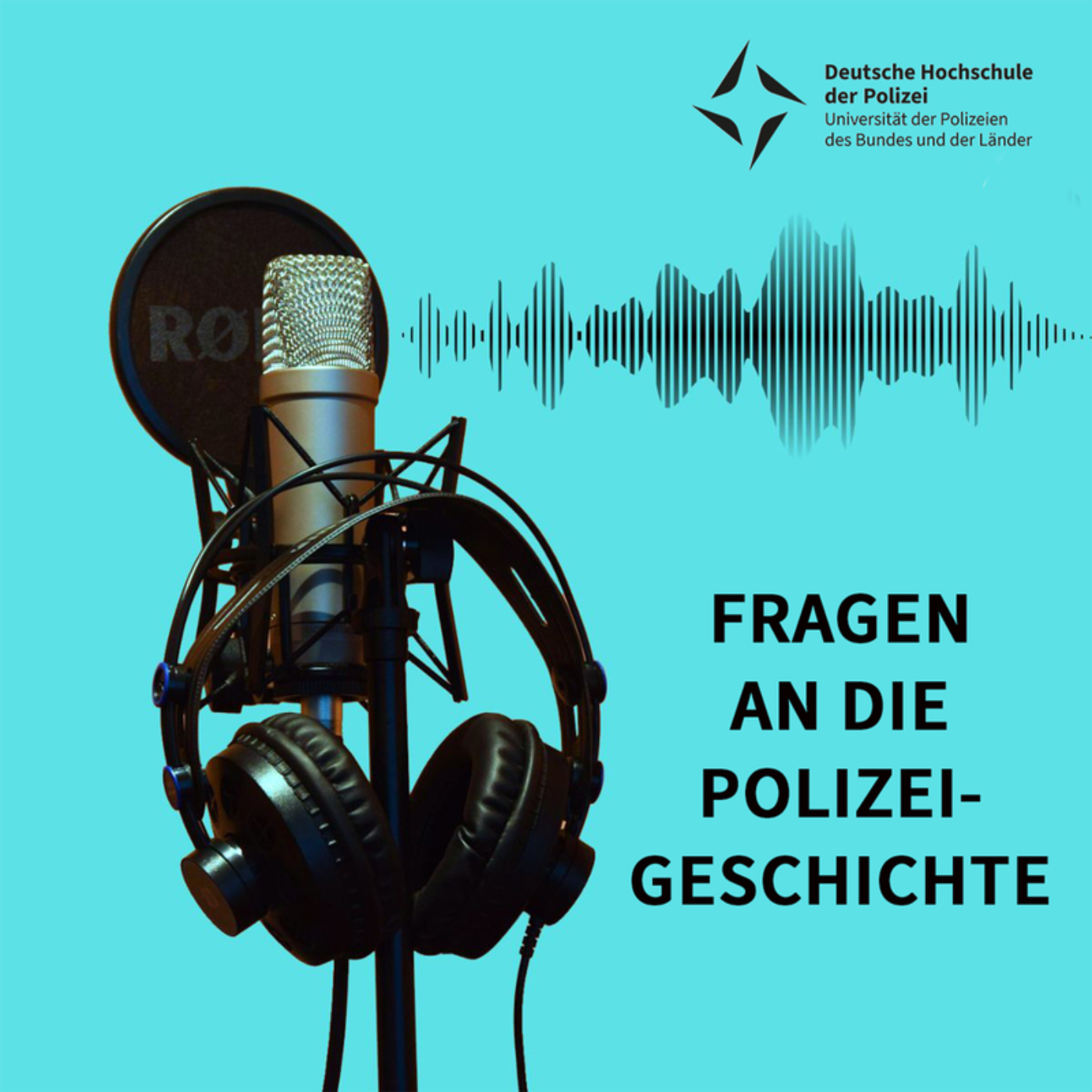 Fragen an die Polizeigeschichte cover art