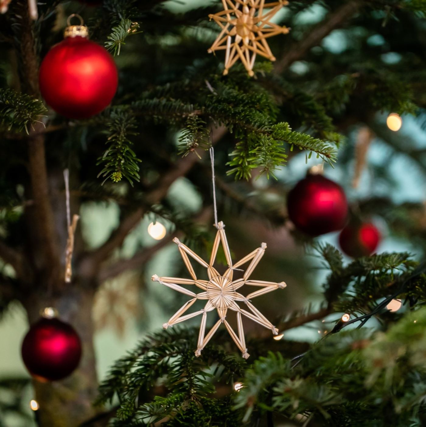 Der Weihnachtsbaum Der Weihnachtsbaum