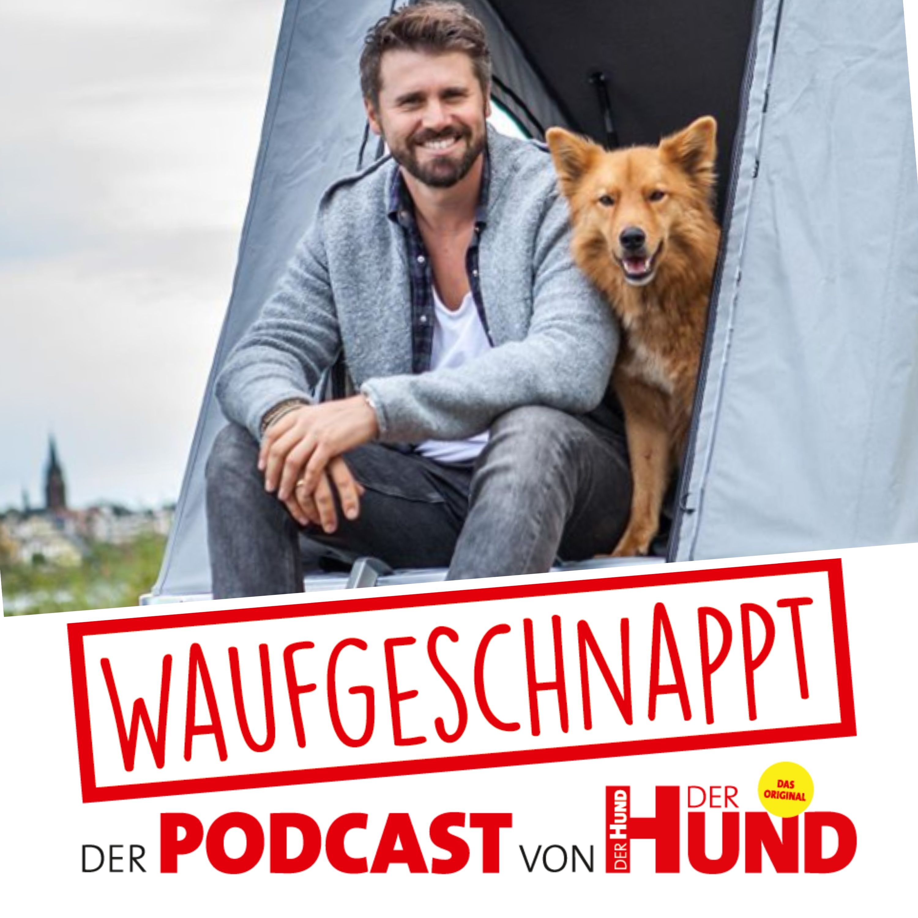 Waufgeschnappt - der Podcast von DER HUND