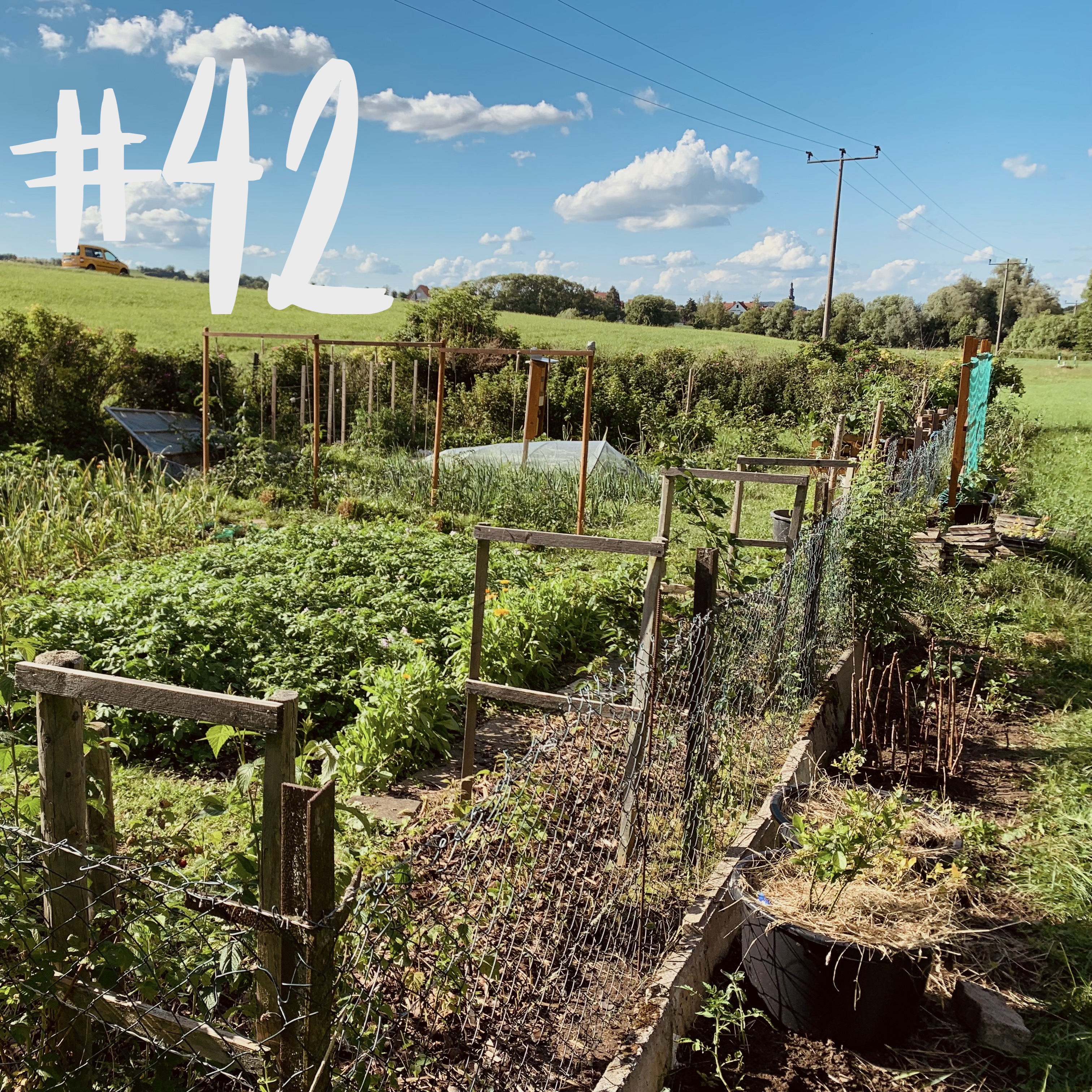 #42 - Spezial - live aus dem Garten Ede episode artwork