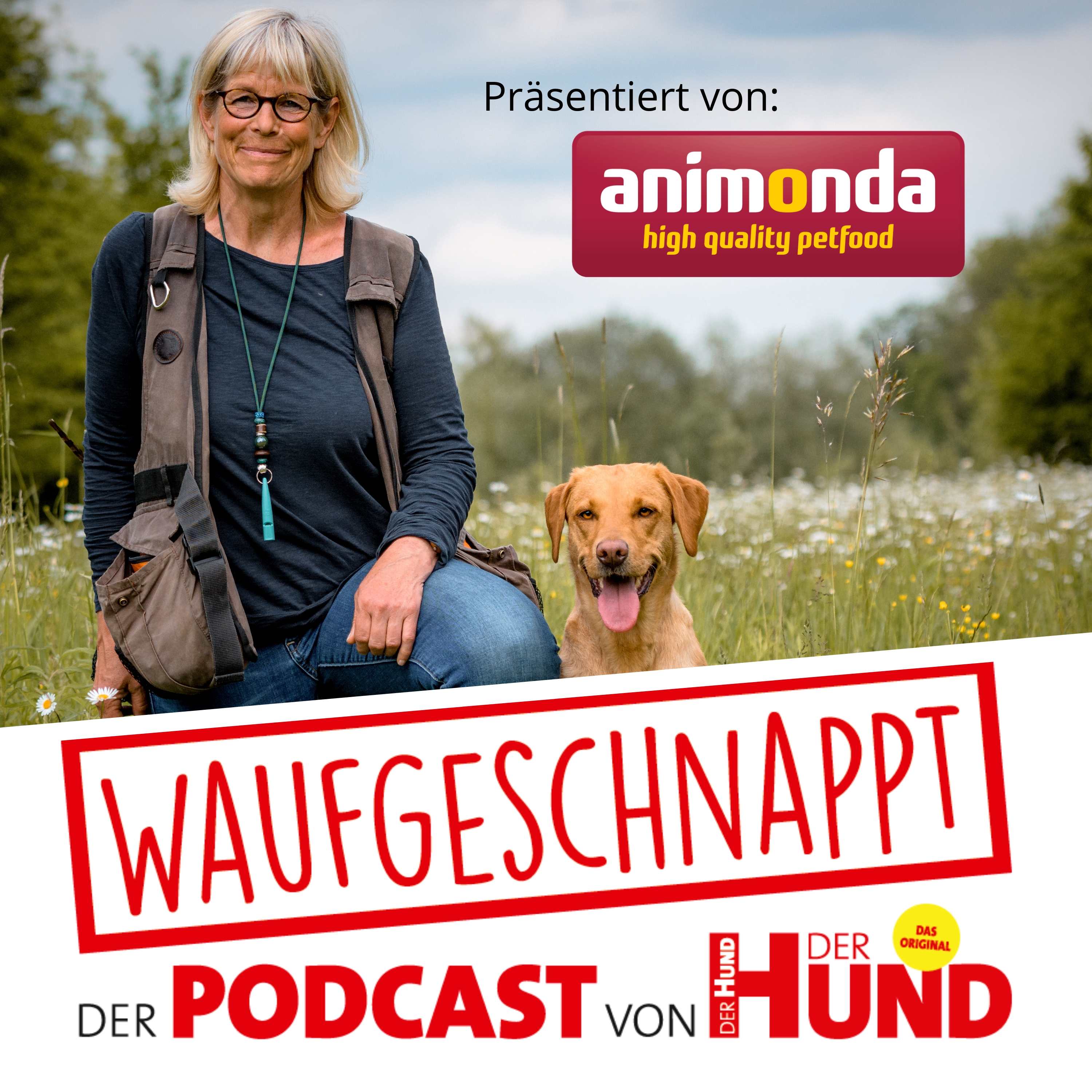 Waufgeschnappt - der Podcast von DER HUND