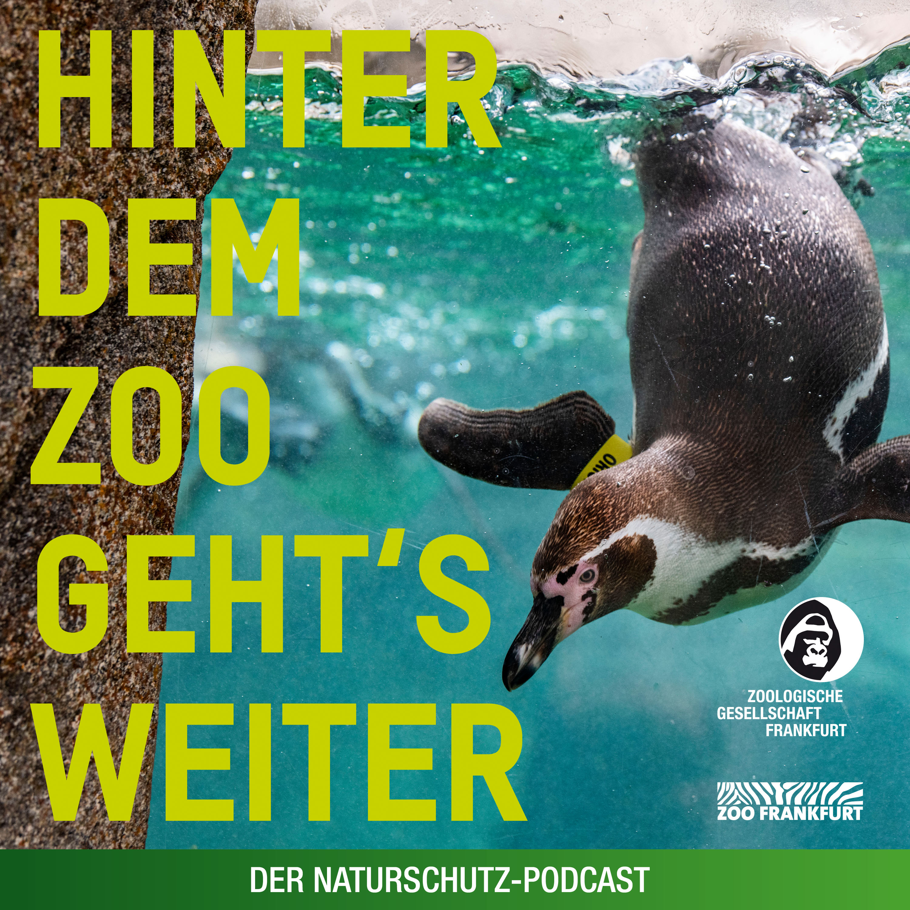 Hinter dem Zoo geht\'s weiter - Der Naturschutzpodcast aus Frankfurt