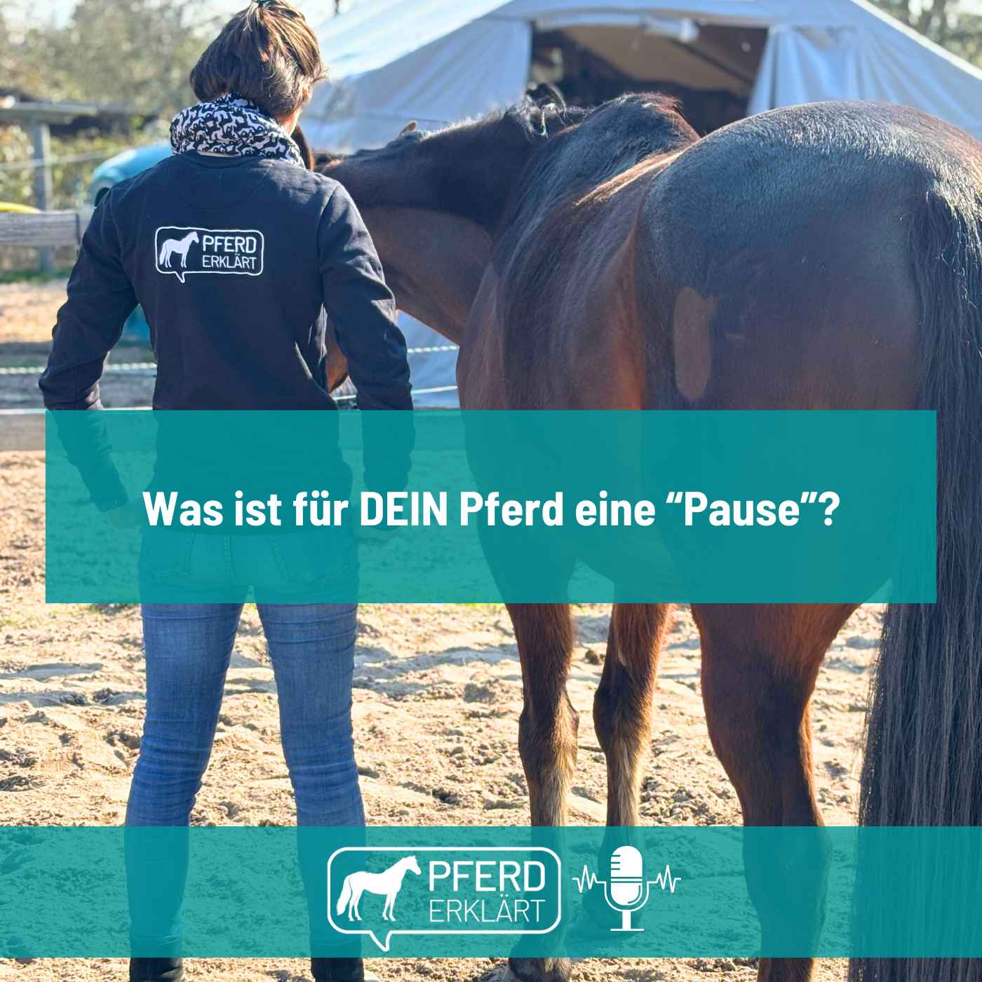 Was ist für DEIN Pferd eine "Pause"? episode artwork