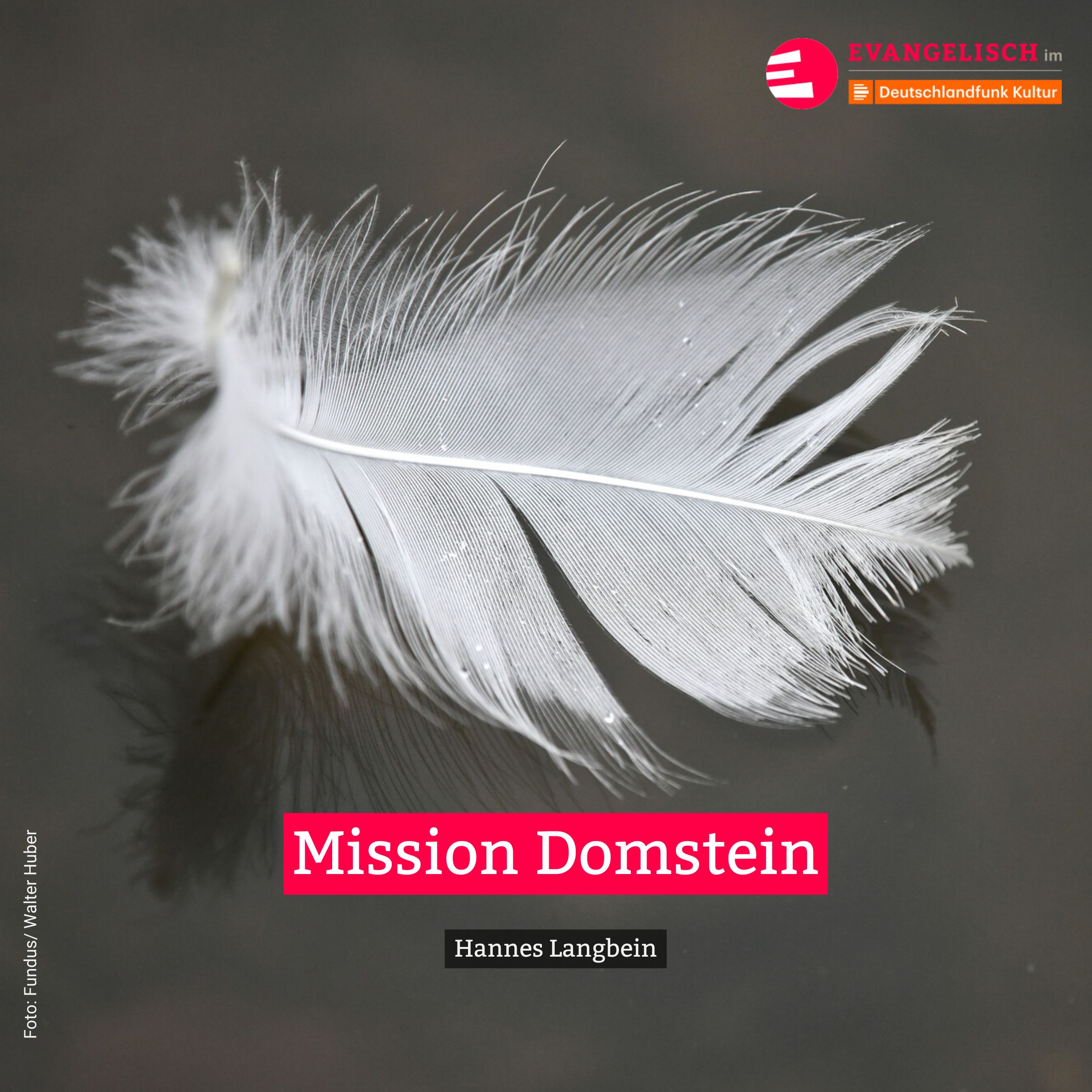 Mission Domstein episode artwork