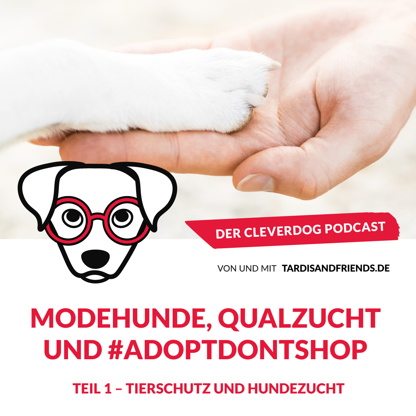Der Cleverdog Podcast – mehr Wissen rund um den Hund!
