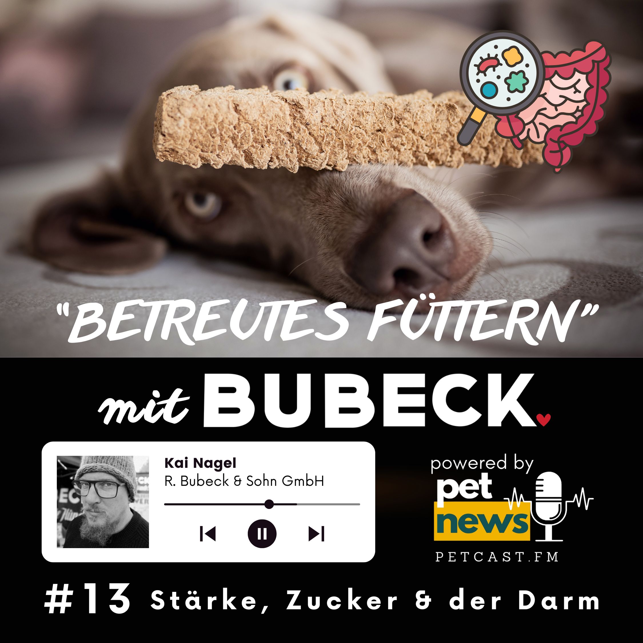 Betreutes Füttern mit Bubeck - Die älteste Hundefuttermanufaktur von 1893