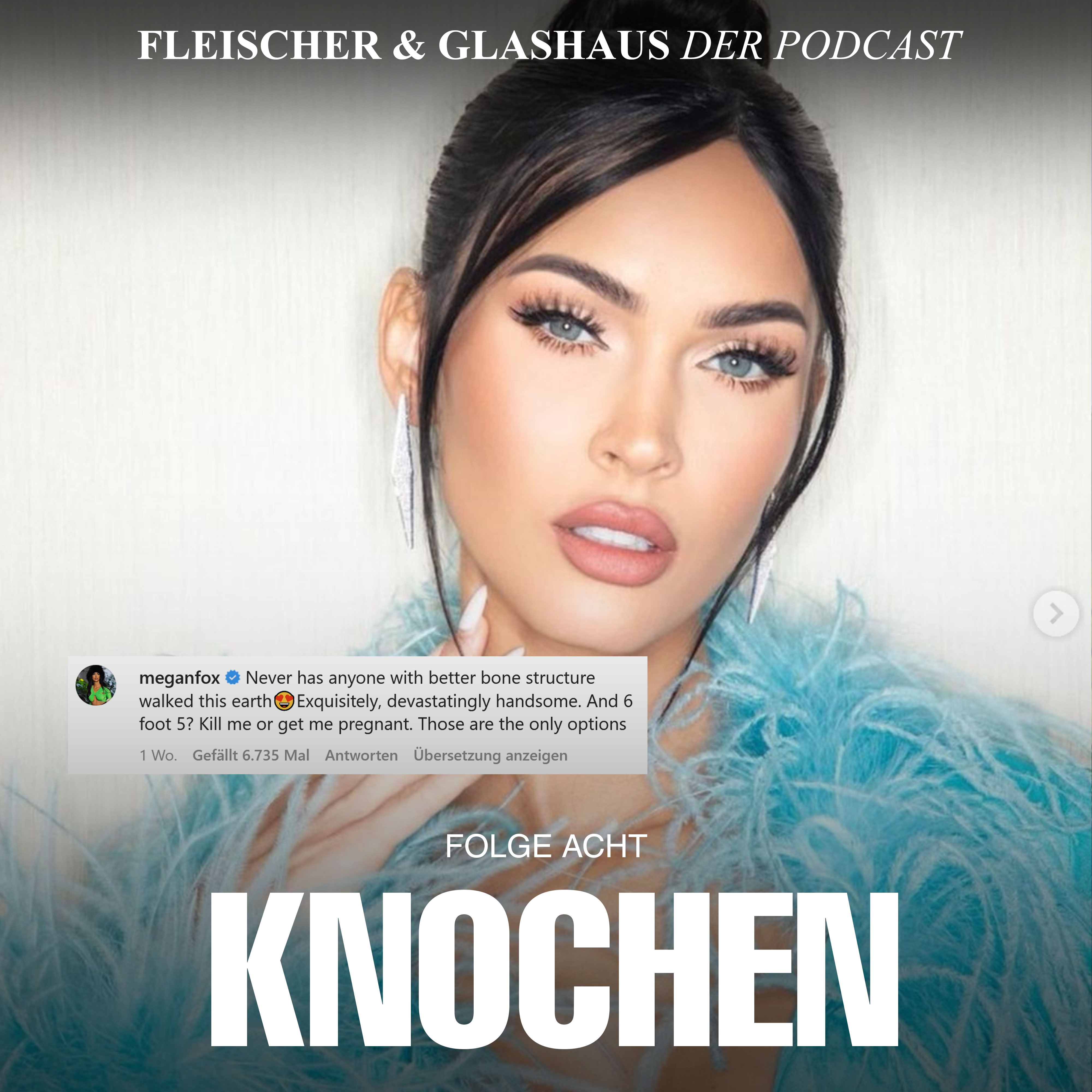 Fleischer & Glashaus