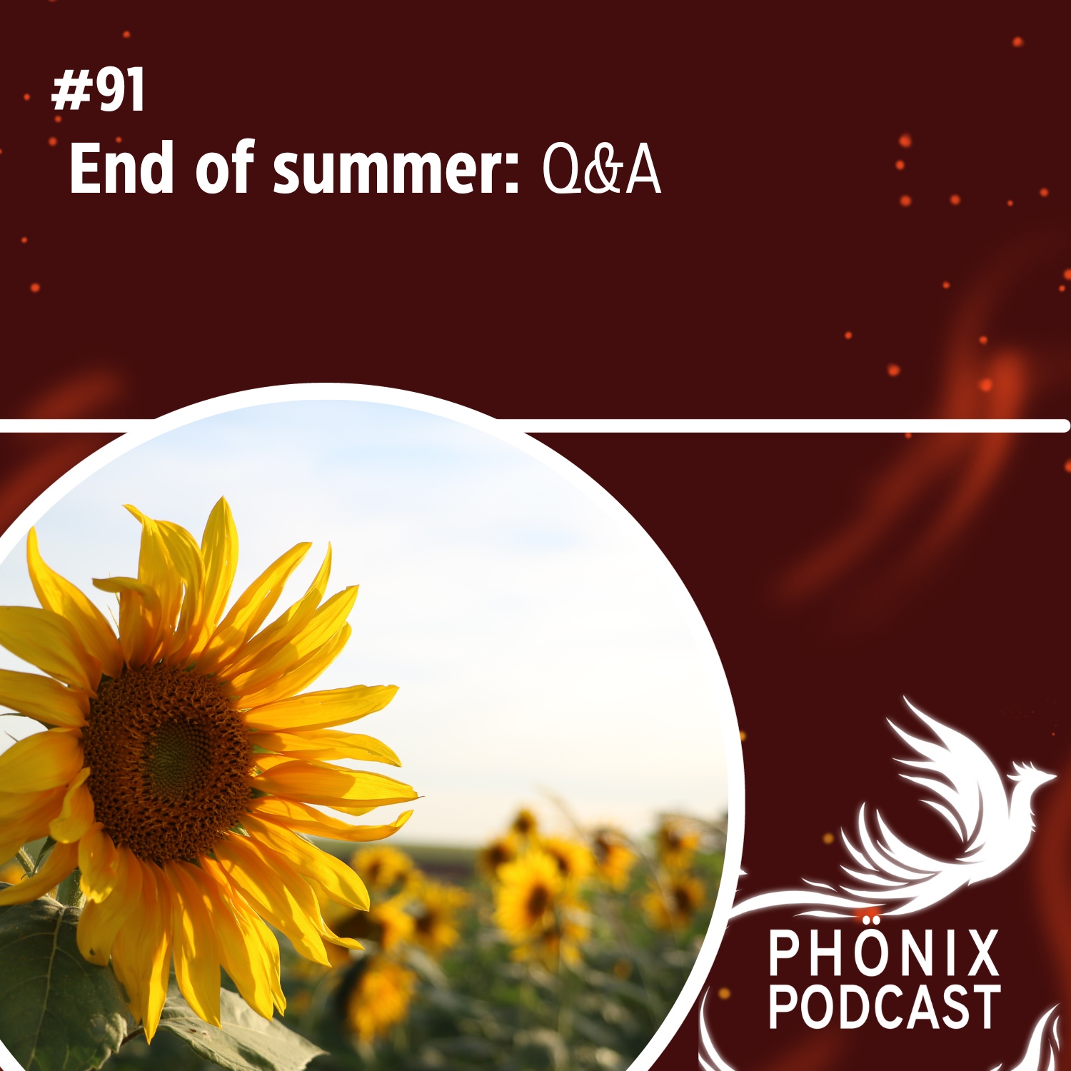 End of summer: Q&A #91 - podcast episode cover