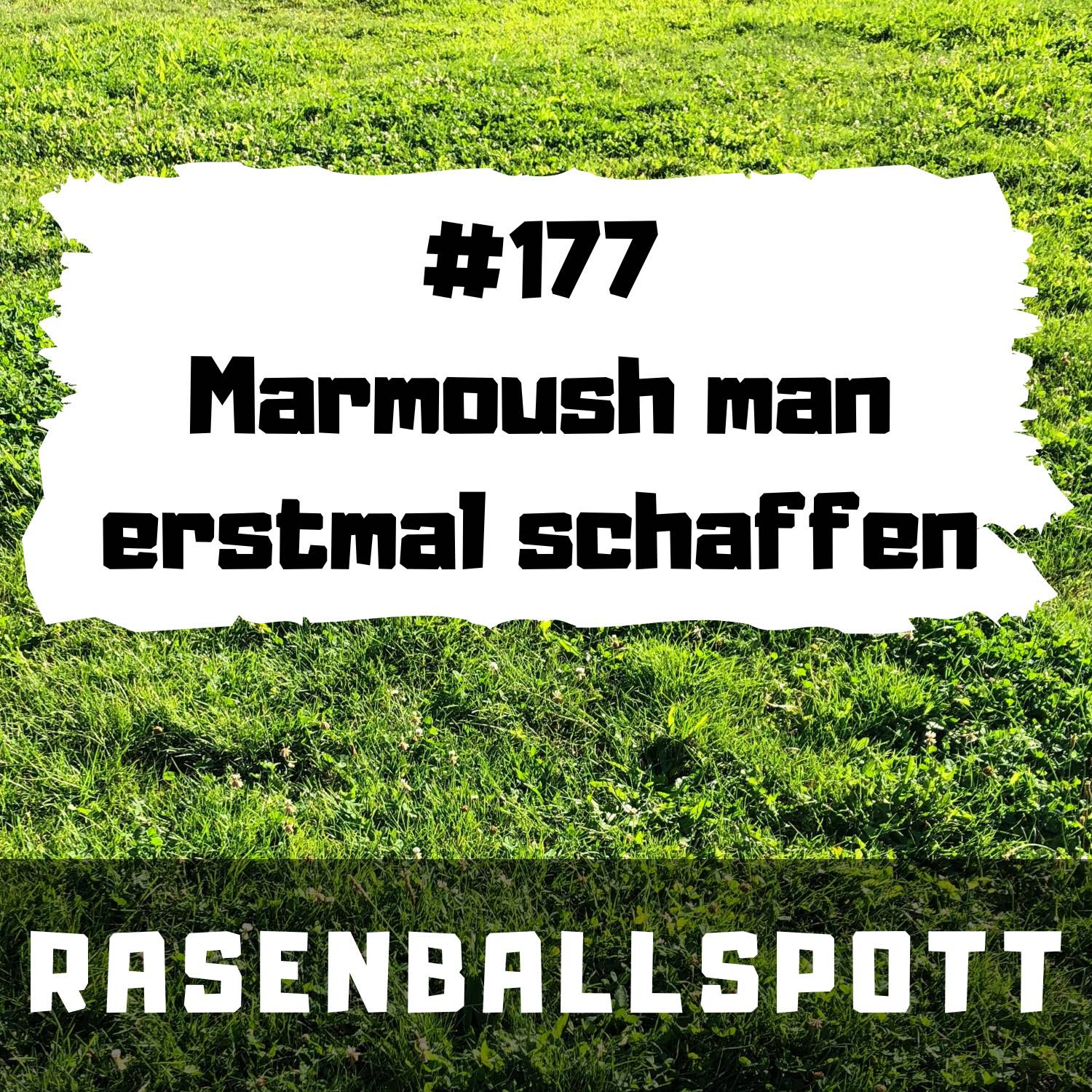 RASENBALLSPOTT
