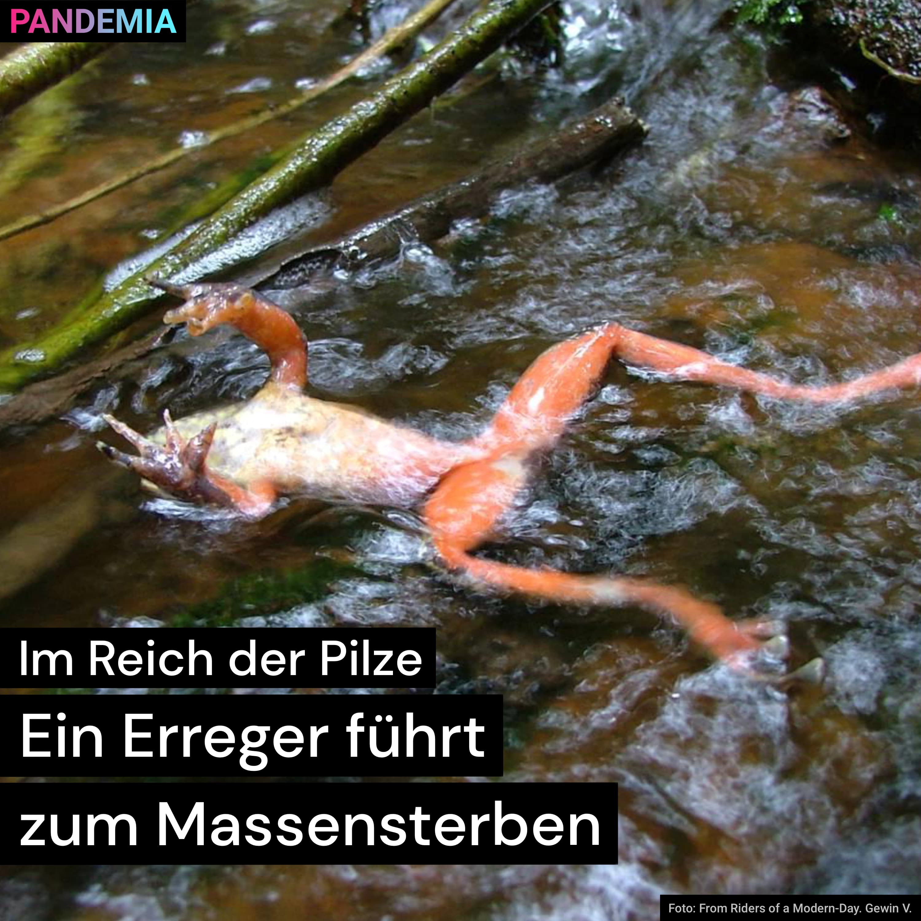 Pandemia