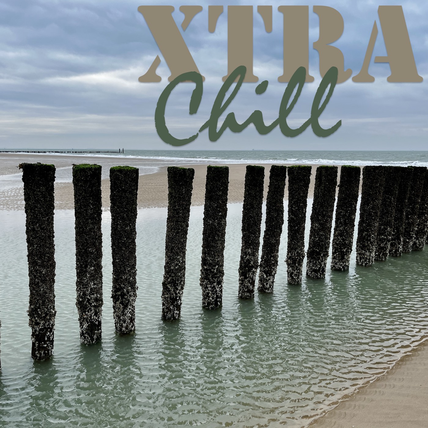 XtraChill 431