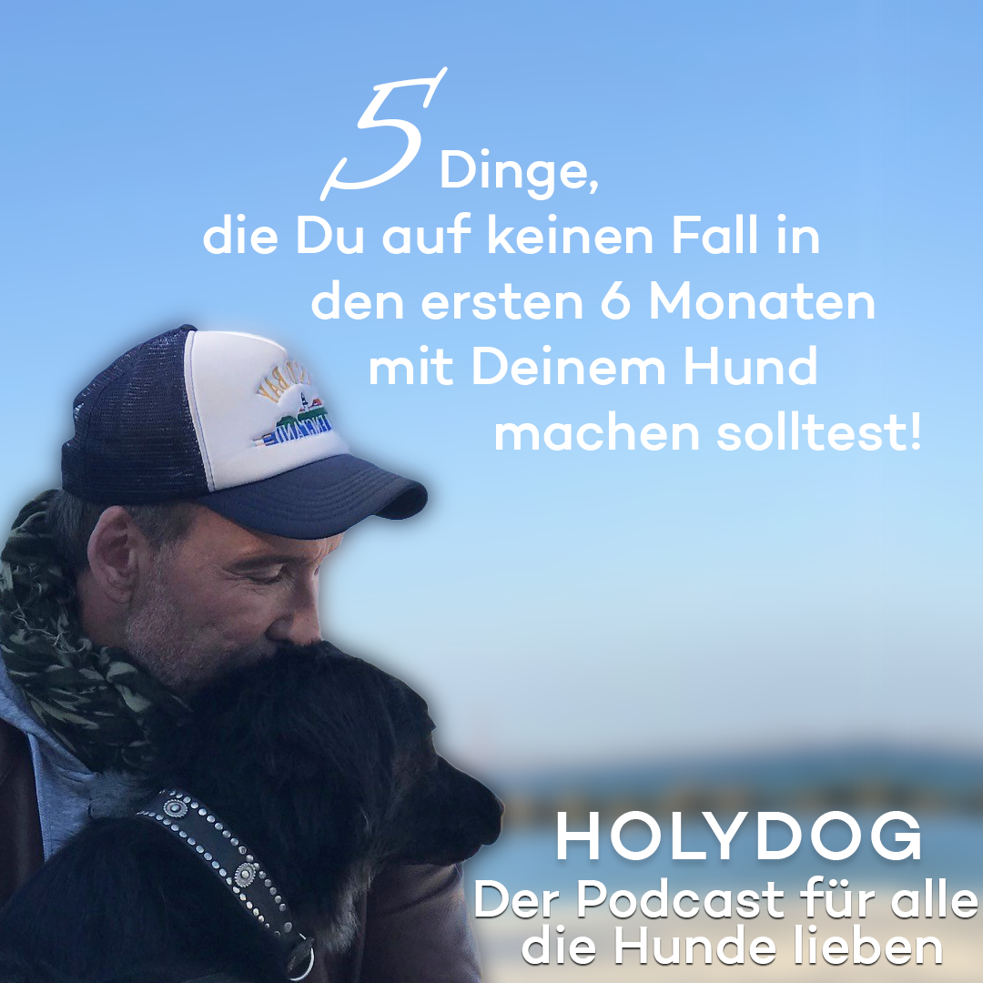 Holydog - Der Hundepodcast mit Jochen Bendel