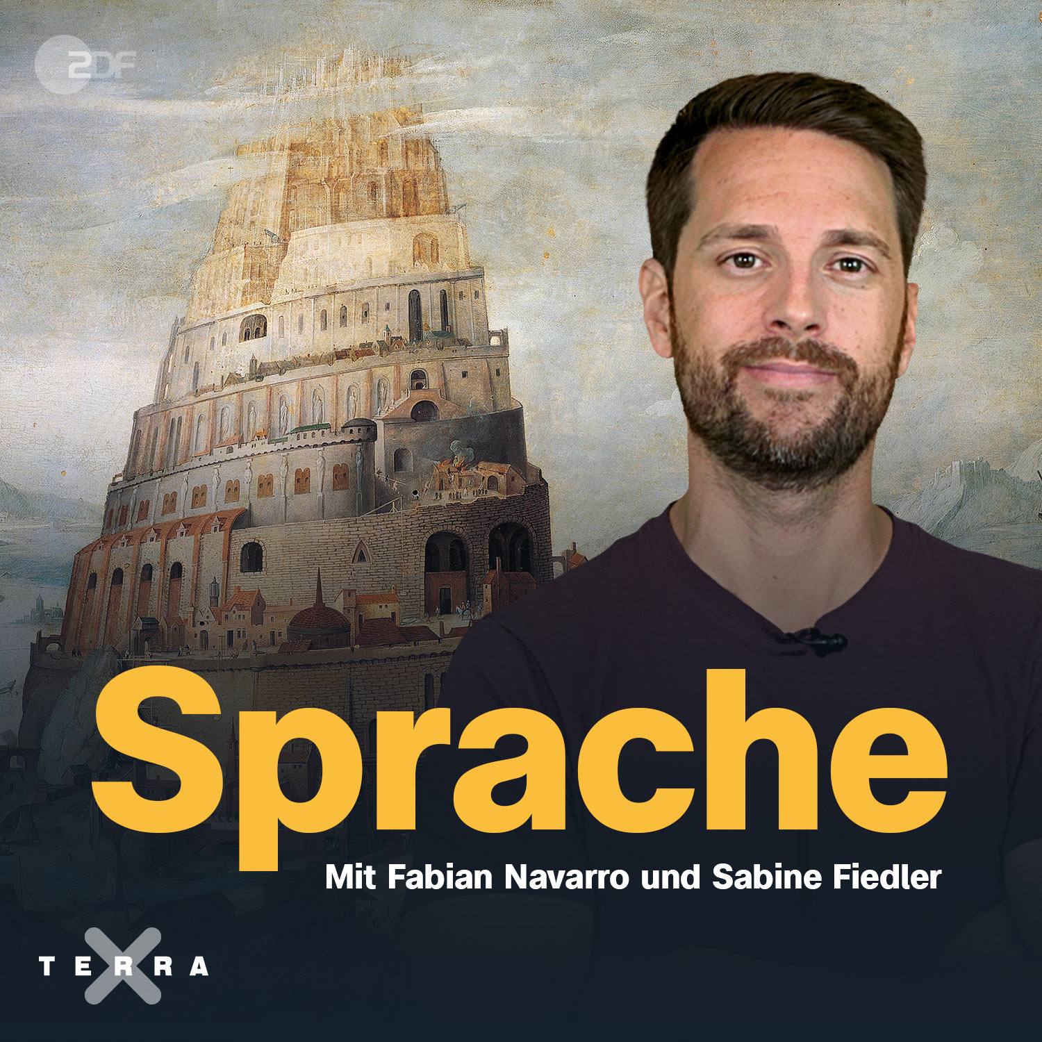 Sprache: Eine Geschichte von Babelfischen und Dichtkunst - Terra X