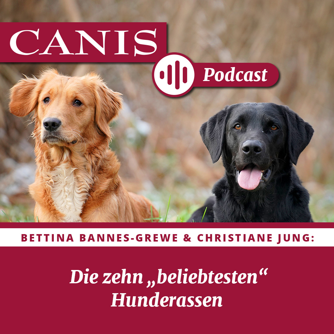 Der CANIS-Podcast – Hundeexpert:innen ausgefragt