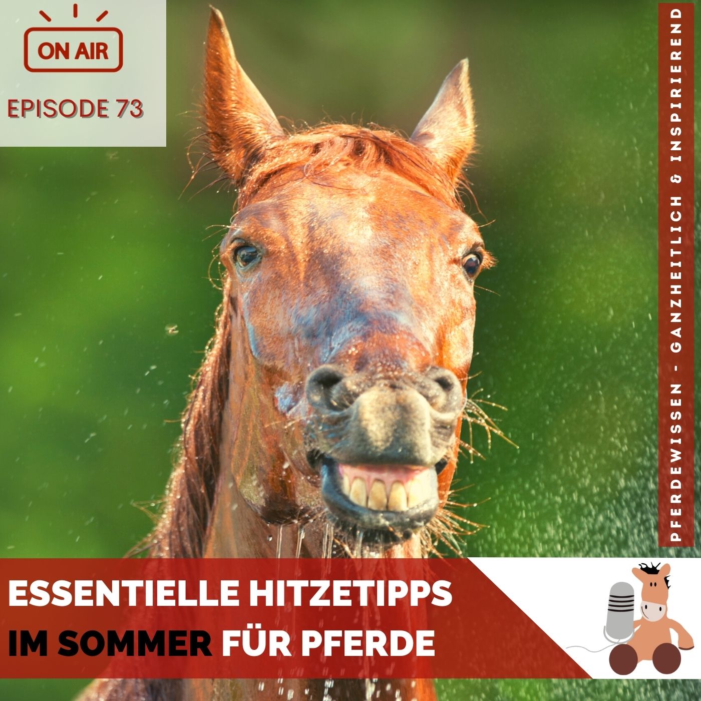 Hitzetipps im Sommer für Pferdebesitzer episode artwork
