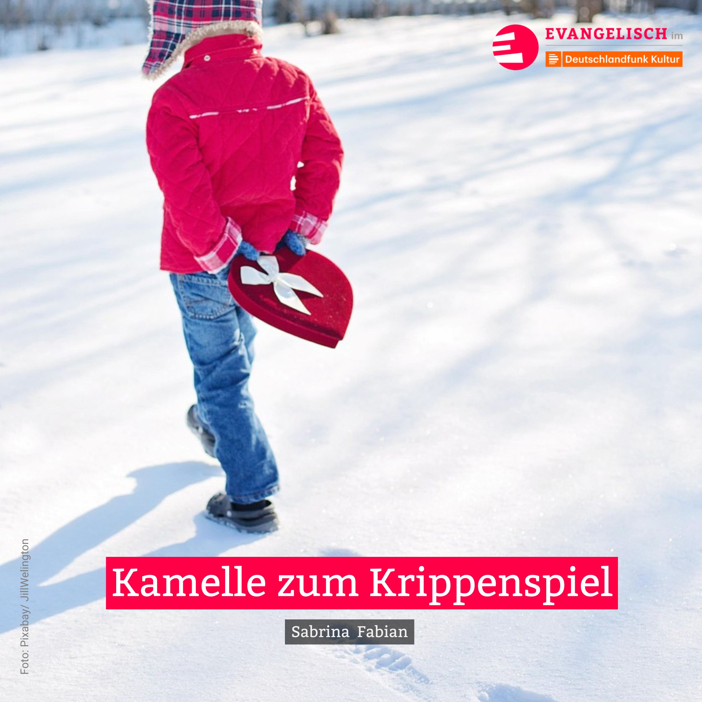 Kamelle zum Krippenspiel