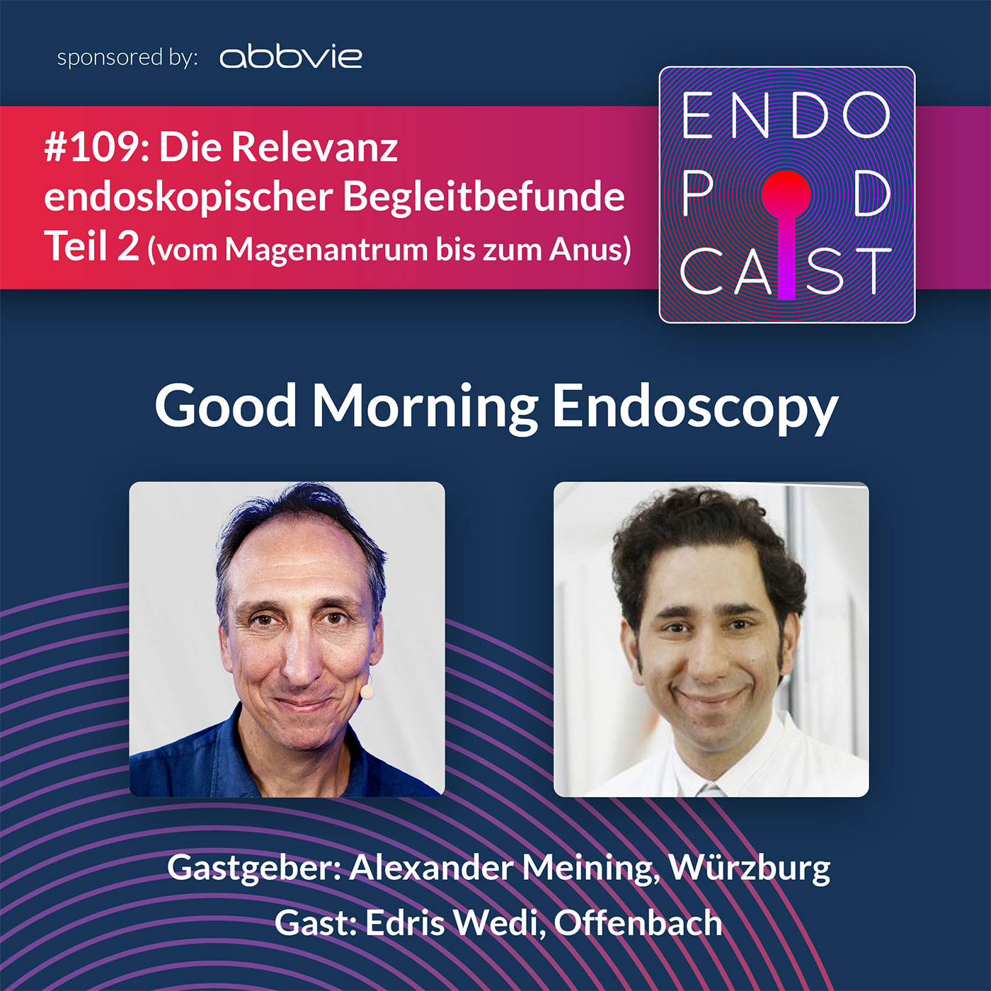Die Relevanz endoskopischer Begleitbefunde Teil 2 (vom Magenantrum bis zum Anus) - mit Edris Wedi