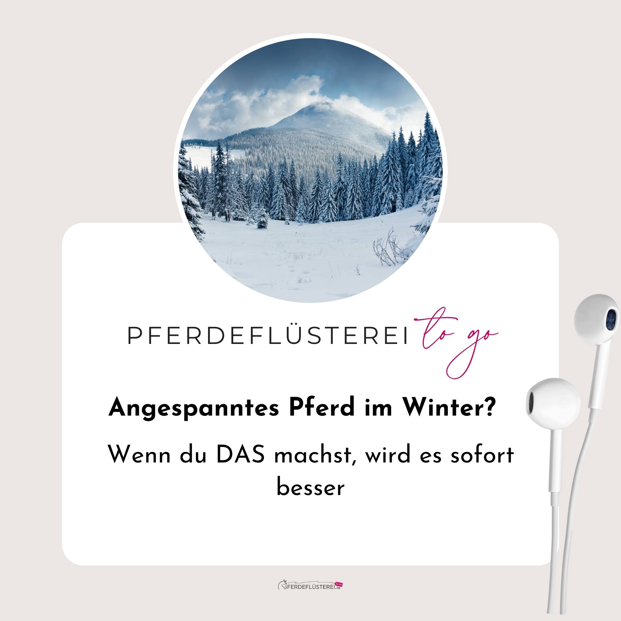 Warum dein Pferd im Winter plötzlich bockt (und es ist nicht, was du denkst)