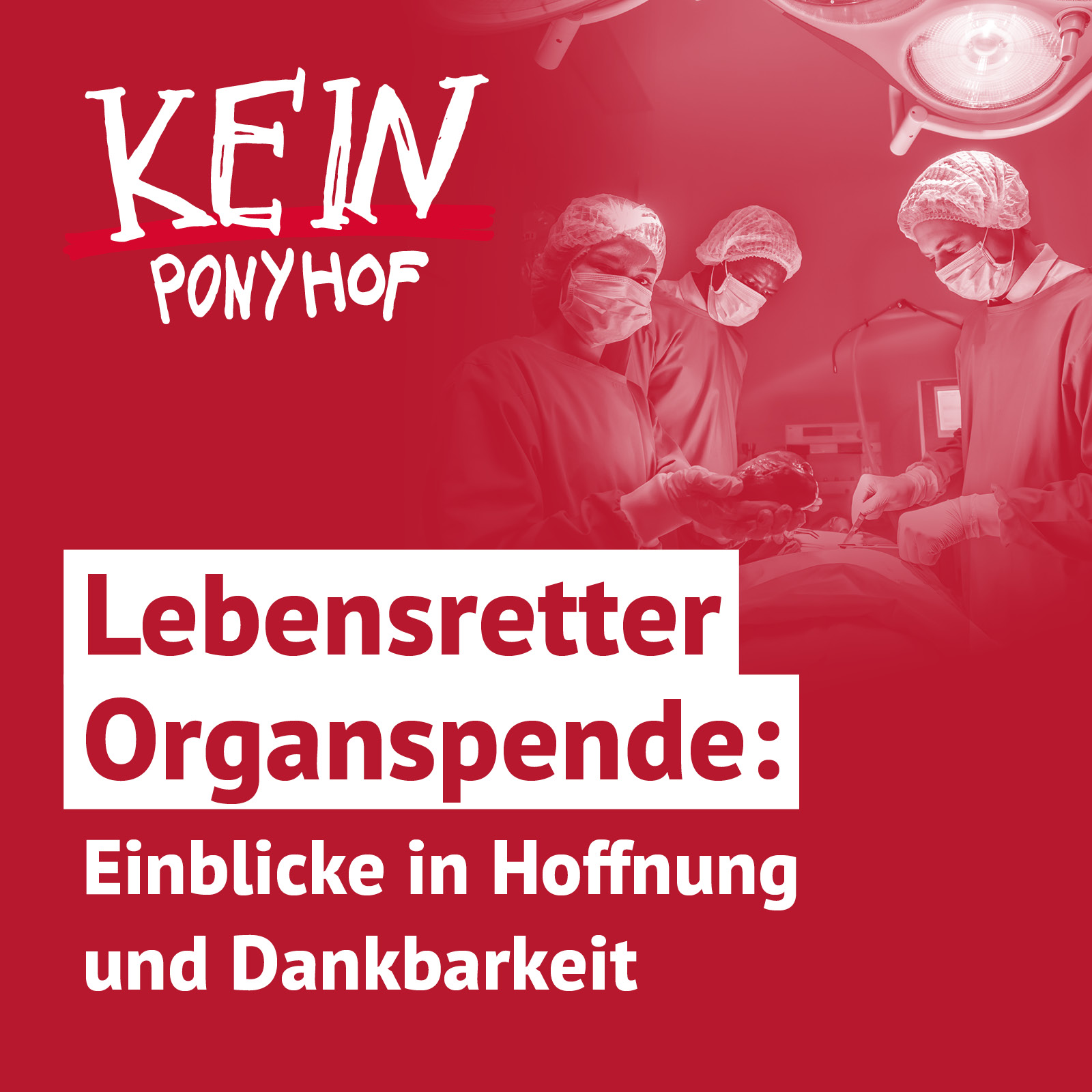 Kein Ponyhof - Aus dem Alltag einer Sozialberatung