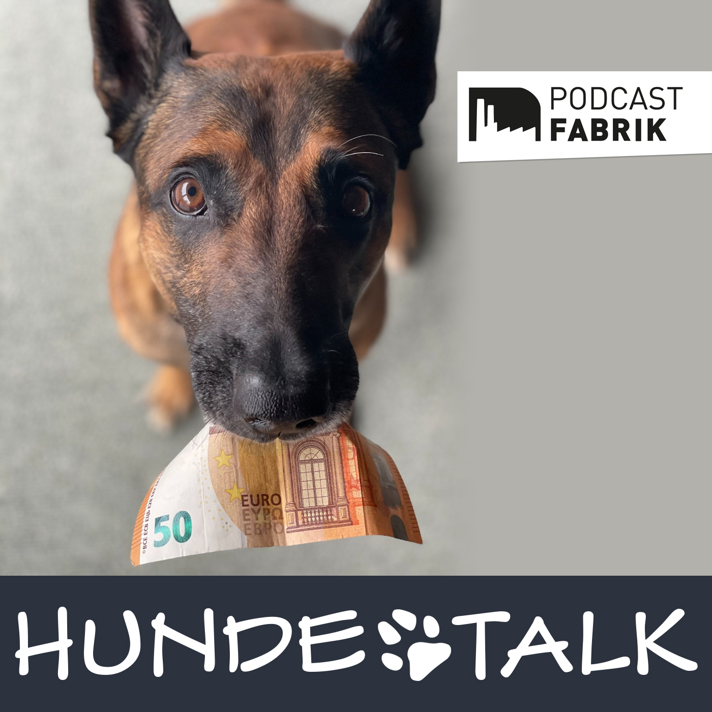 HUNDETALK - Dein Hunderunde-Podcast