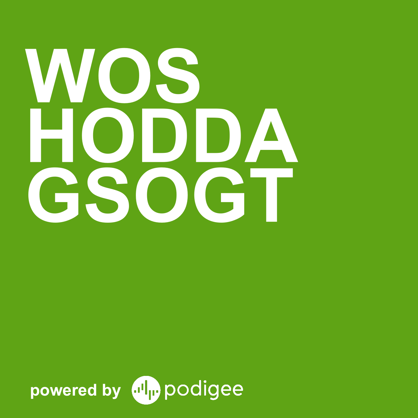 Wos hodda gsogt cover art