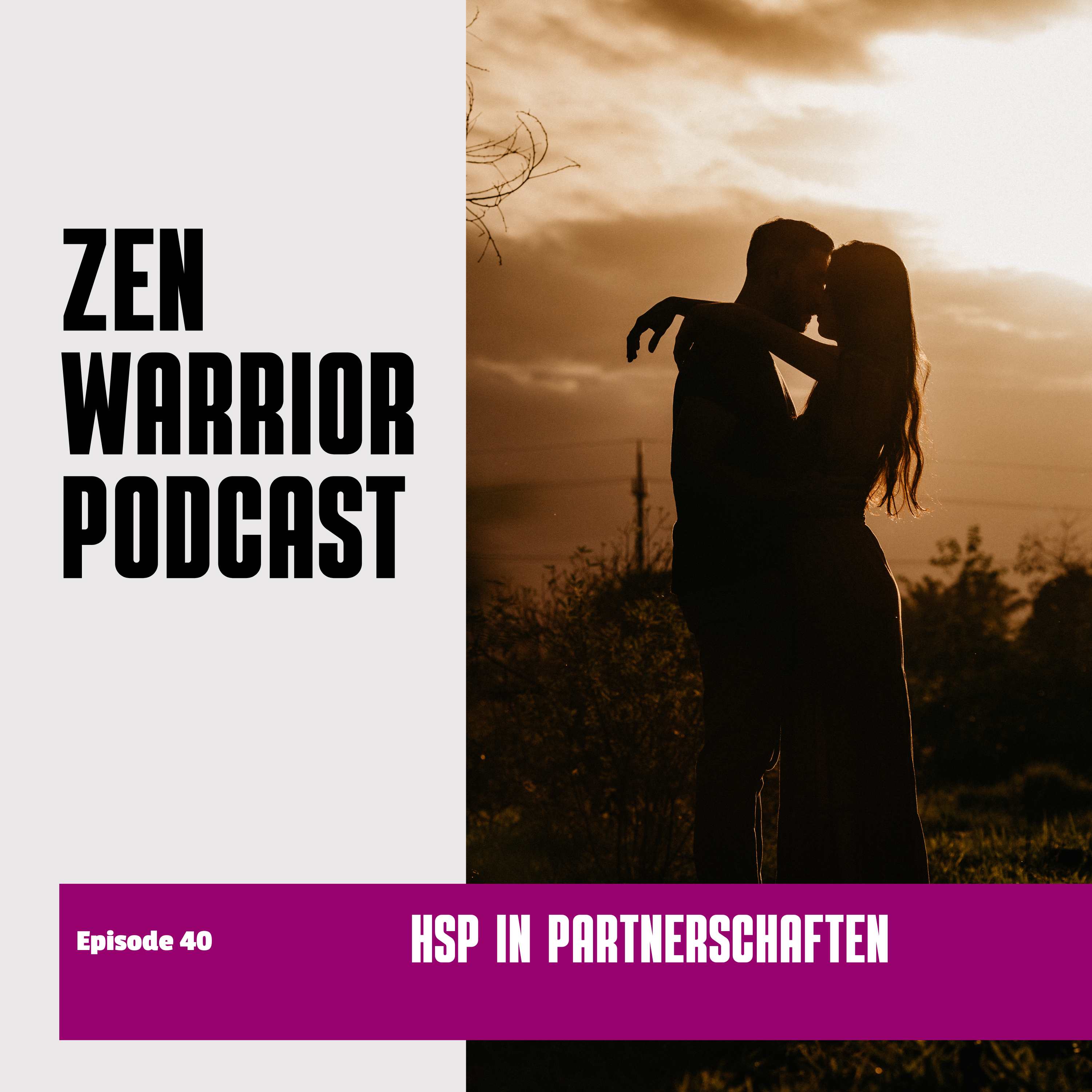 The Zen Warrior Podcast