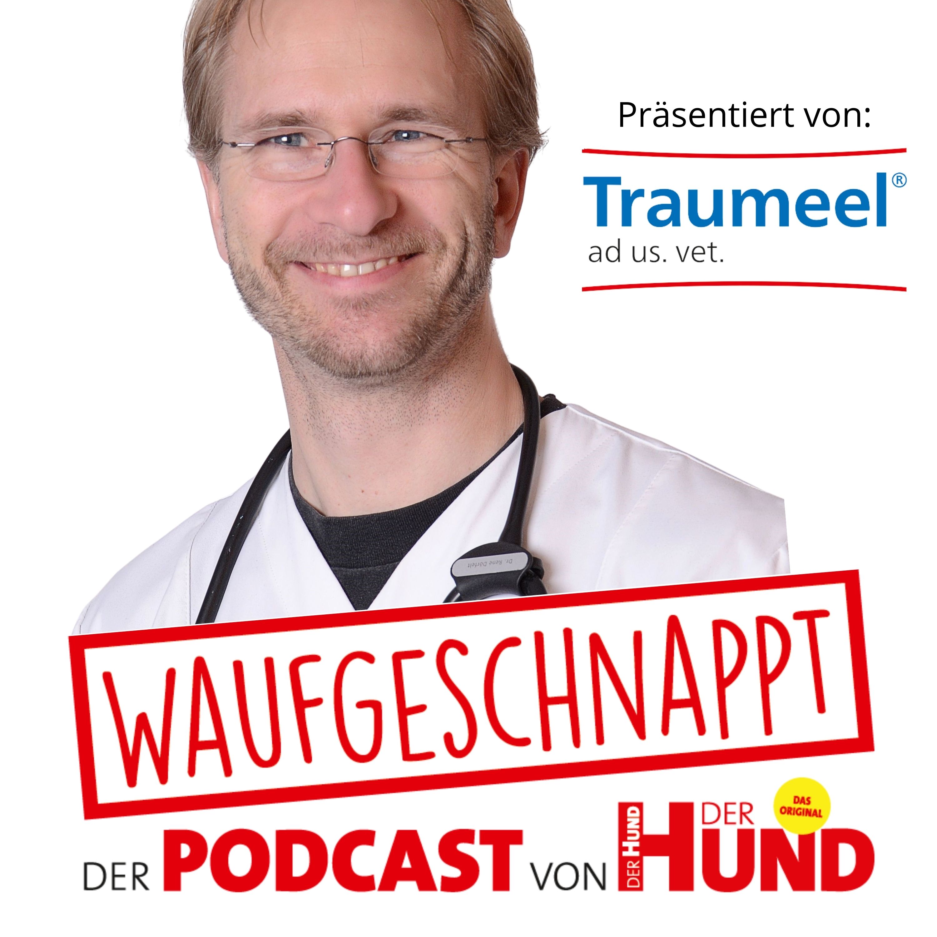 Waufgeschnappt - der Podcast von DER HUND