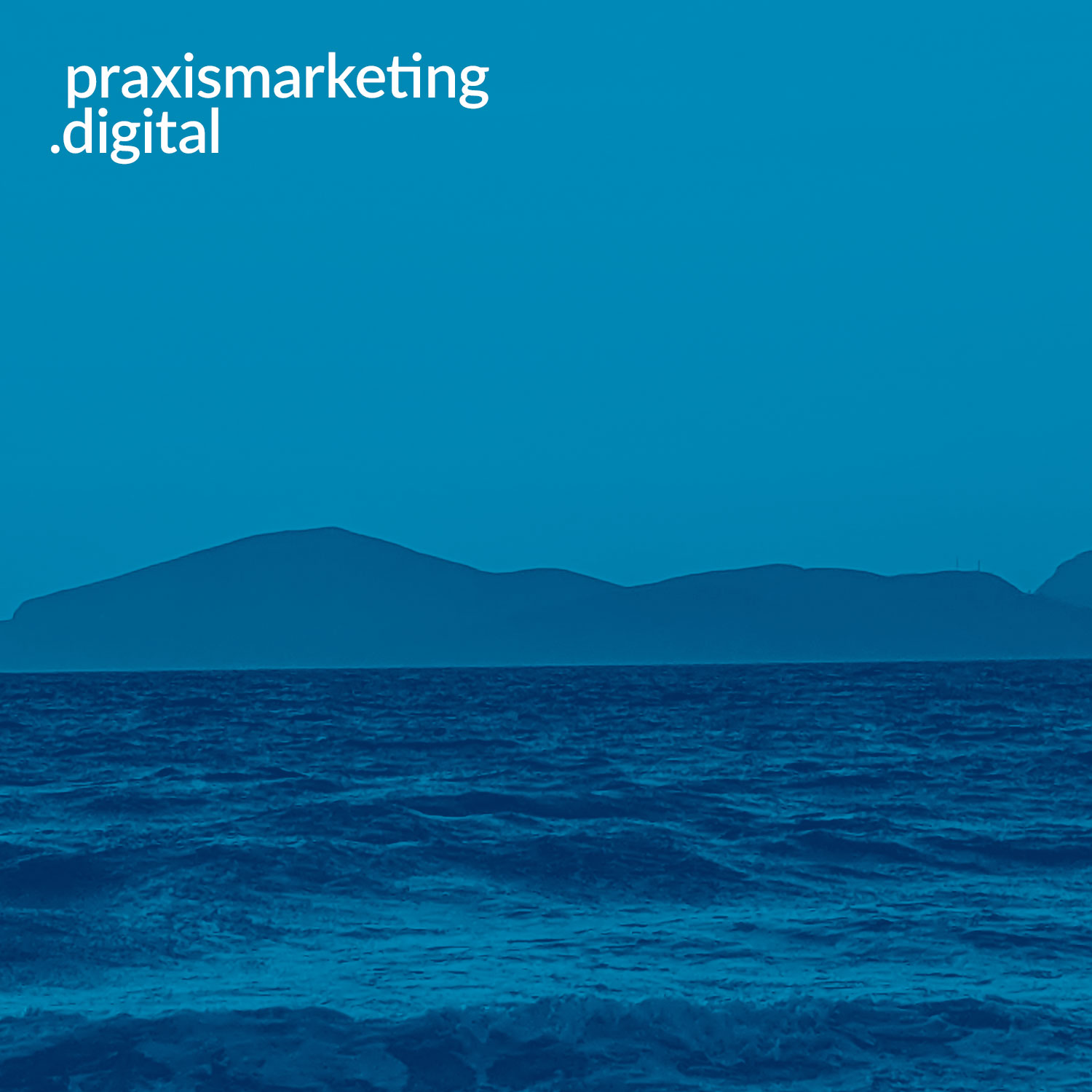 praxismarketing.digital