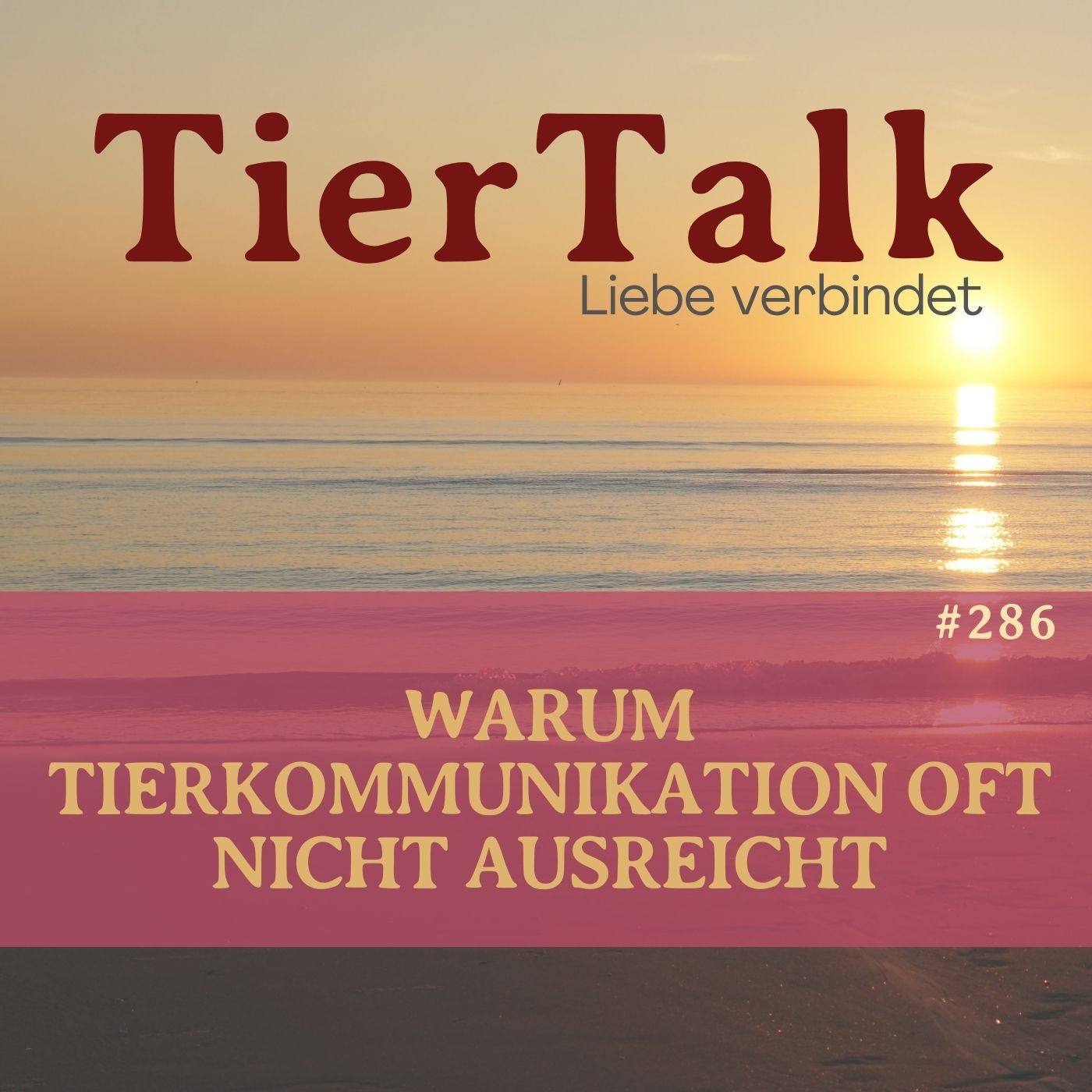 286. Warum Tierkommunikation allein oft nicht ausreicht 286. Warum Tierkommunikation allein oft nicht ausreicht