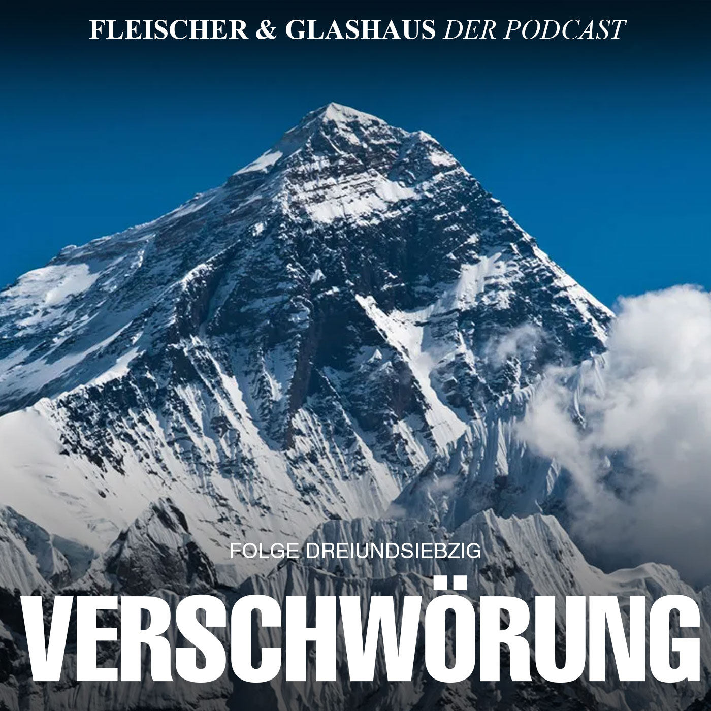 Fleischer & Glashaus