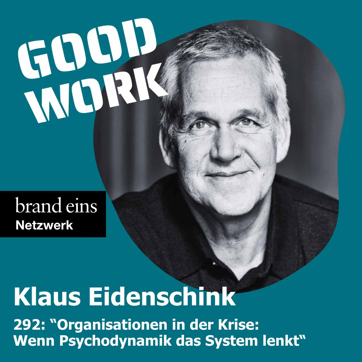 Organisationen in der Krise: Wenn Psychodynamiken das System lenken. Klaus Eidenschink (292)