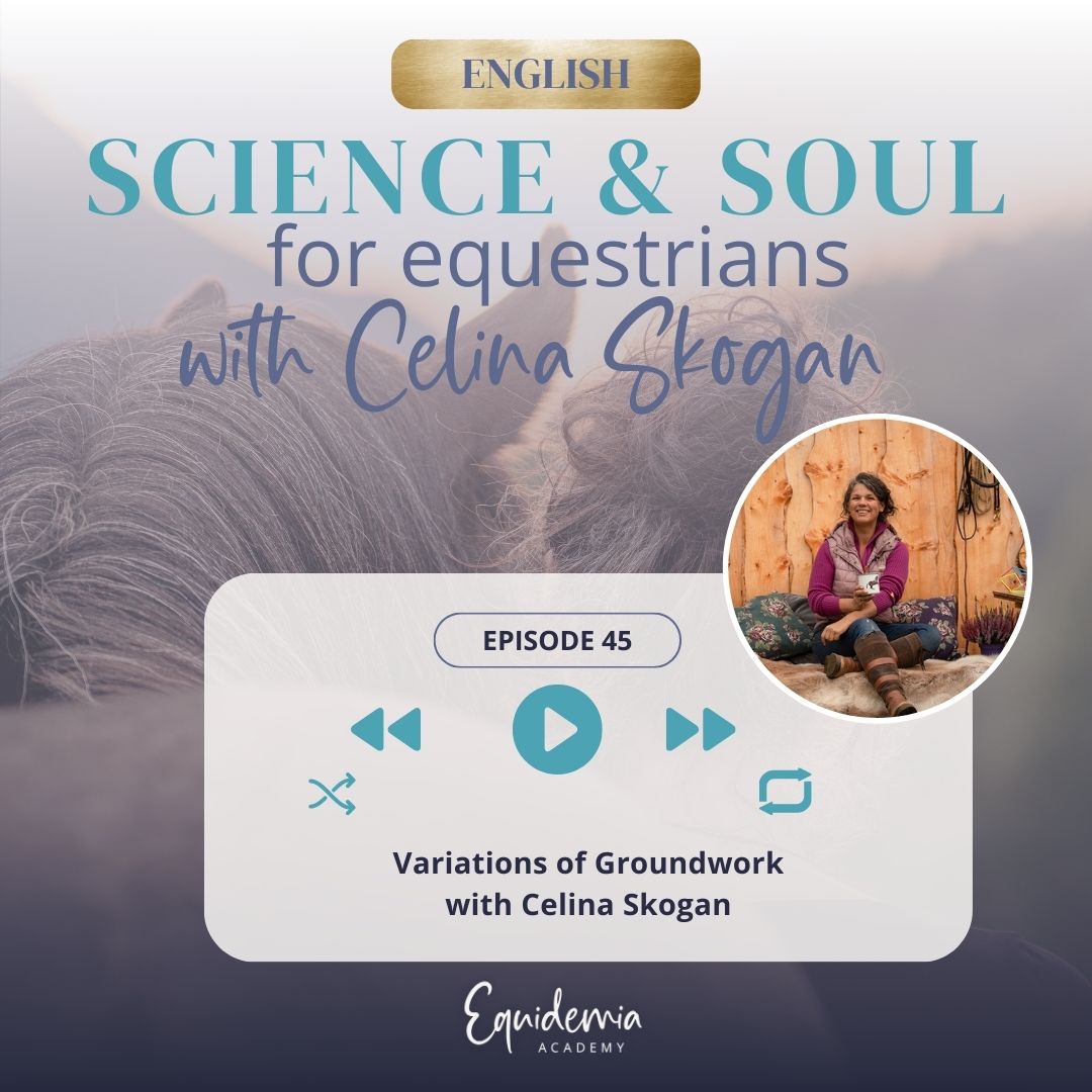 Horsefriends international