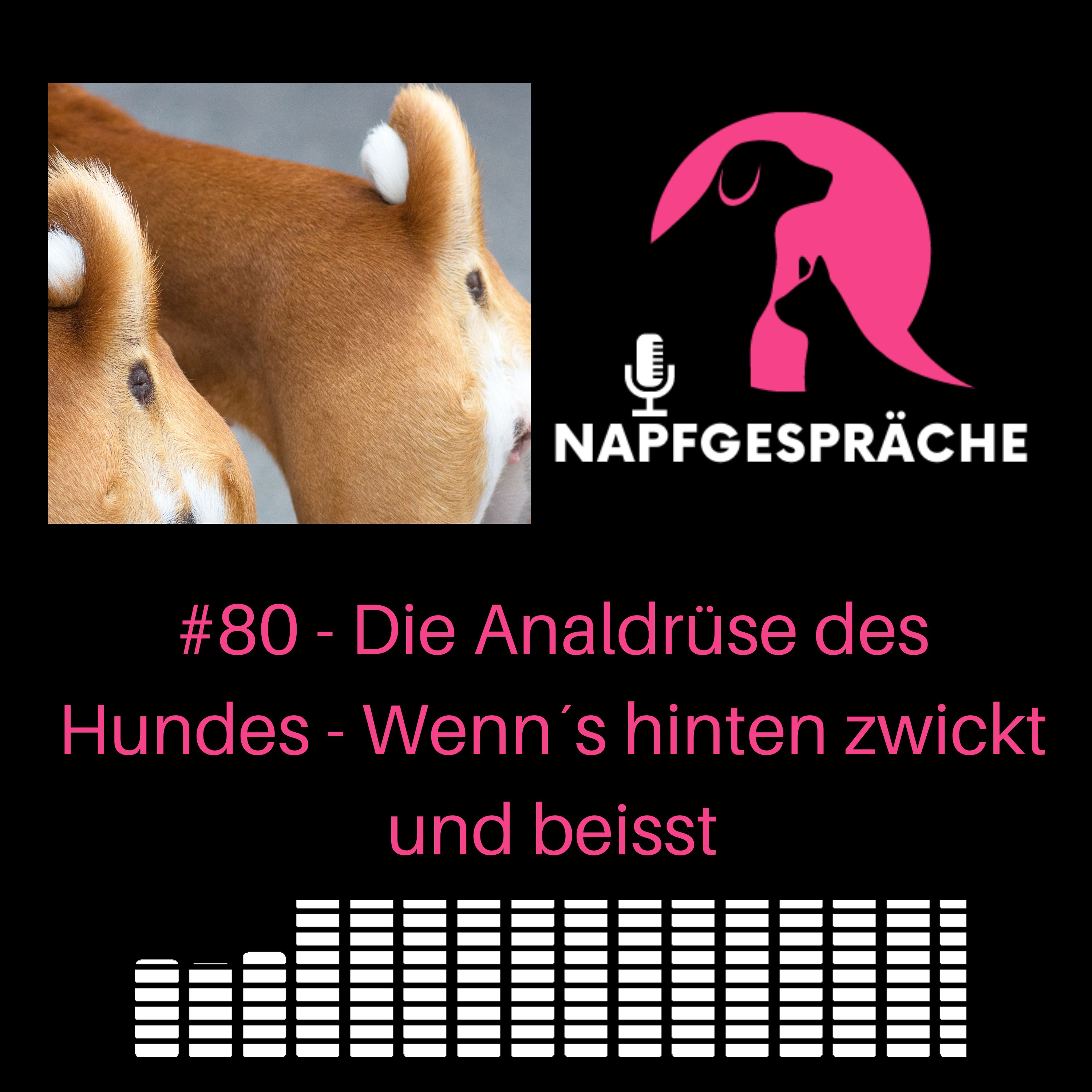 Napfgespräche - Experten für Hunde- & Katzenernährung und smarte Supplemente