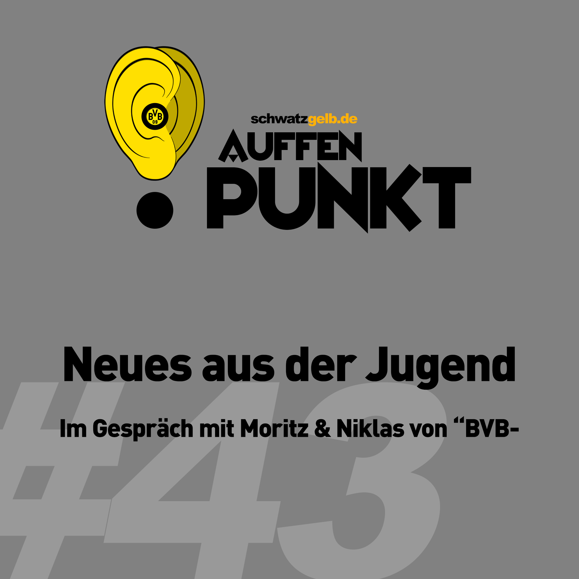 Auffe Ohren - Der BVB-Podcast von schwatzgelb.de