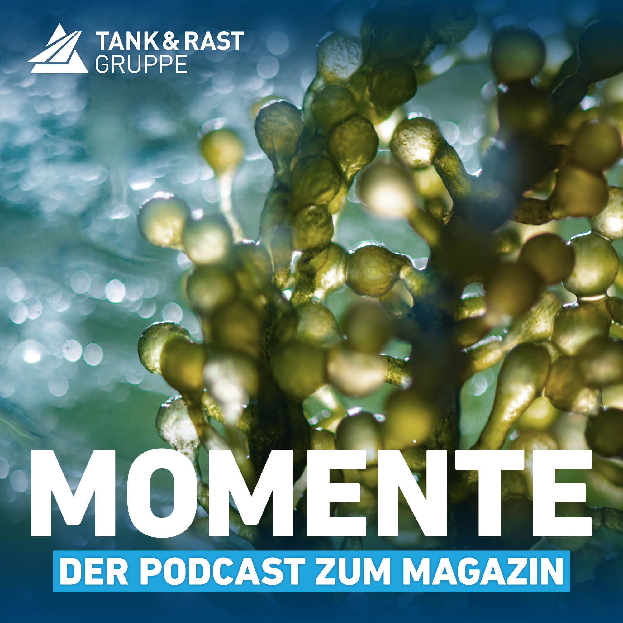 Momente – der Podcast zum Magazin von T&R