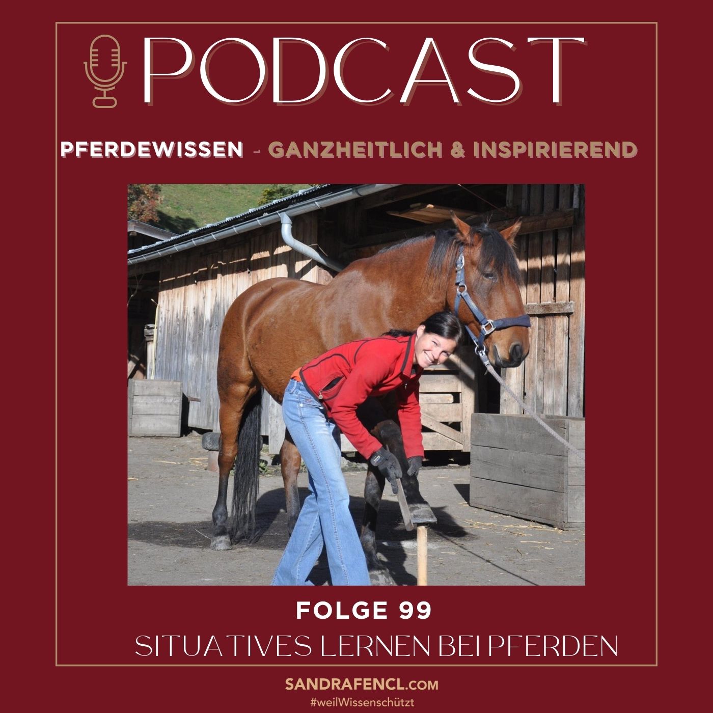 Pferdewissen - ganzheitlich & inspirierend mit Sandra Fencl