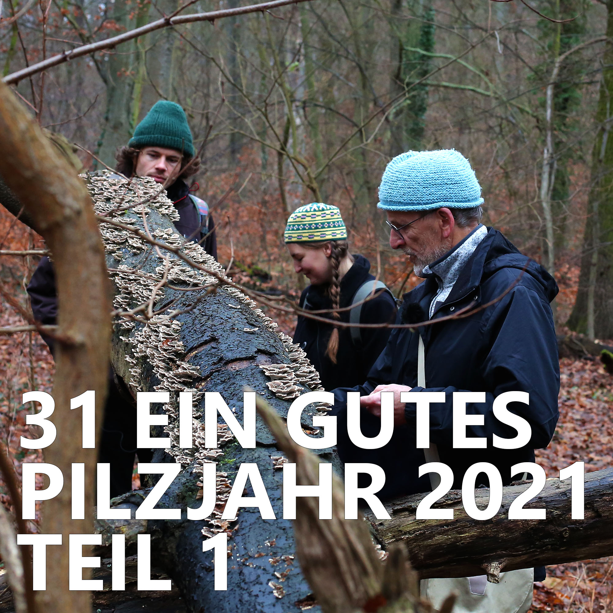 Der Pilzpodcast