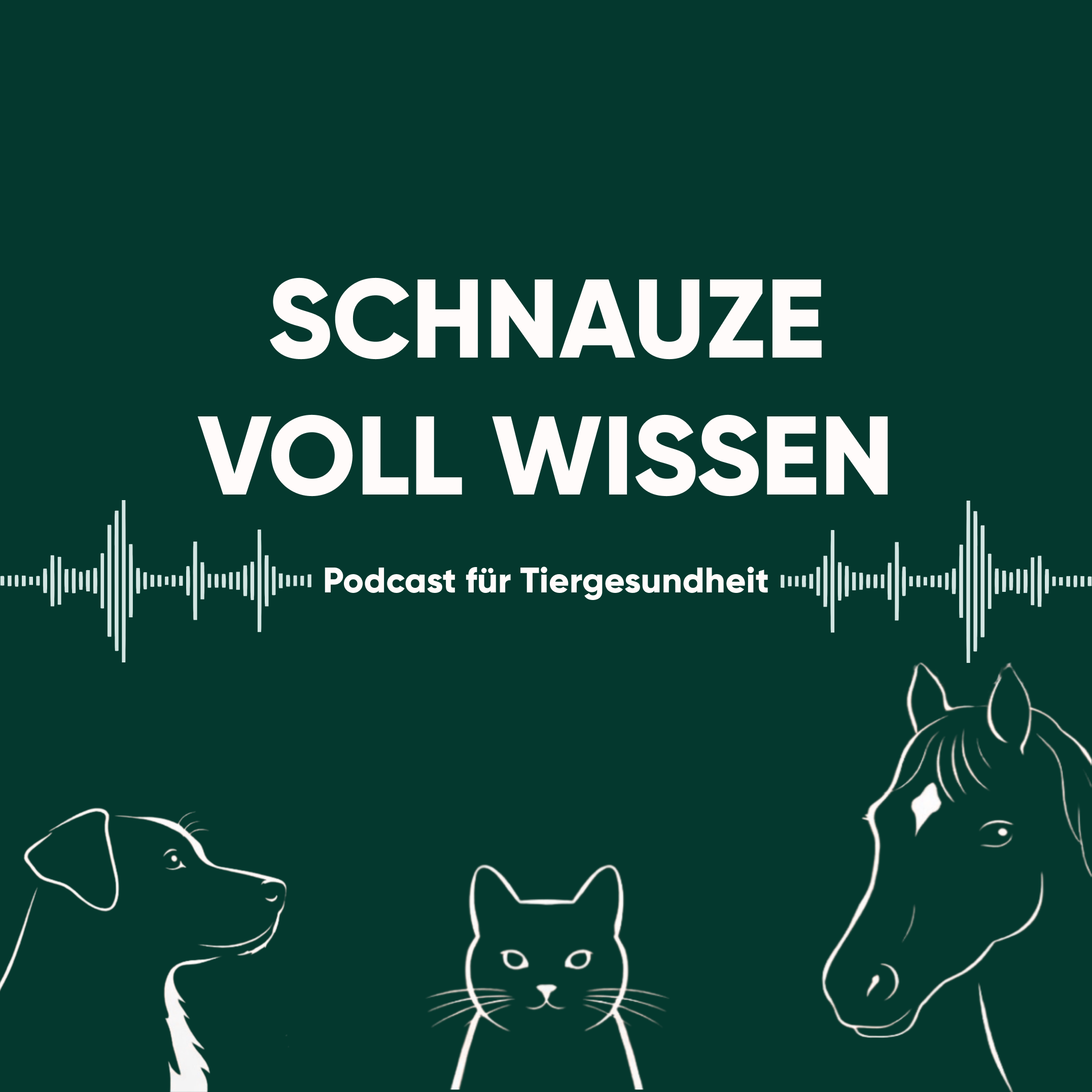 Evovell - Schnauze voll Wissen podcast artwork