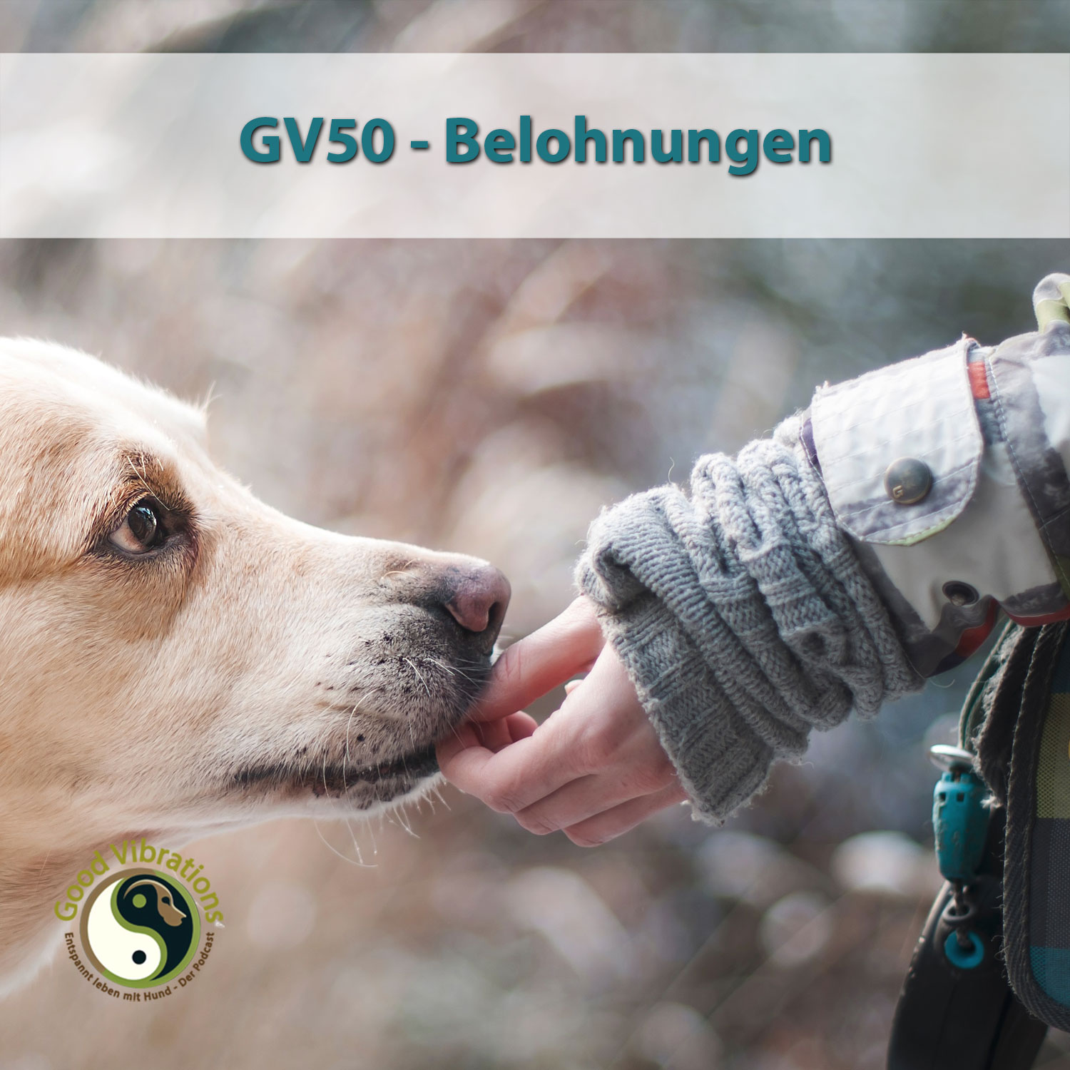 Good Vibrations. Entspannt leben mit Hunden. Der Podcast.