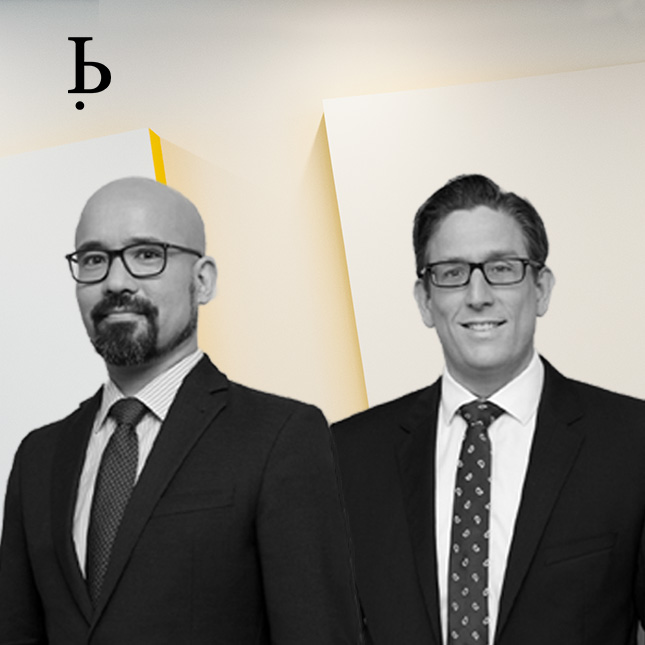 BARDEHLE IP Experts