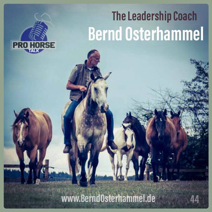 PRO HORSE TALK