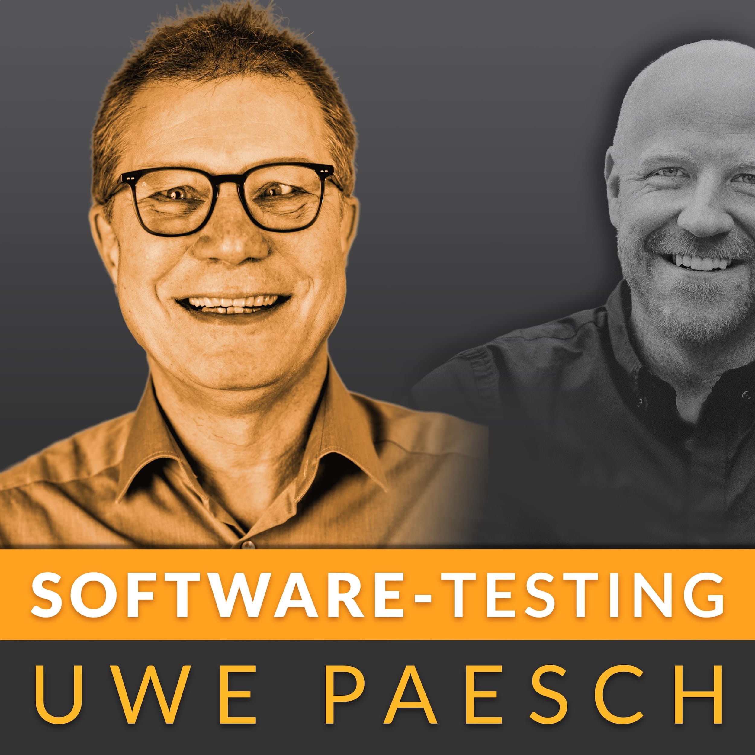 Software Testing - Qualität, Testautomatisierung & Agilität