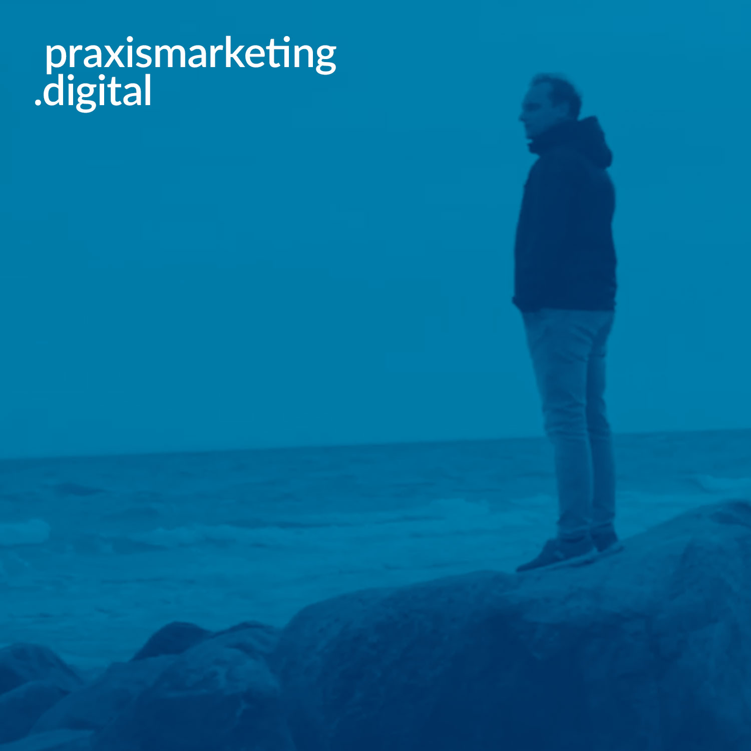 praxismarketing.digital