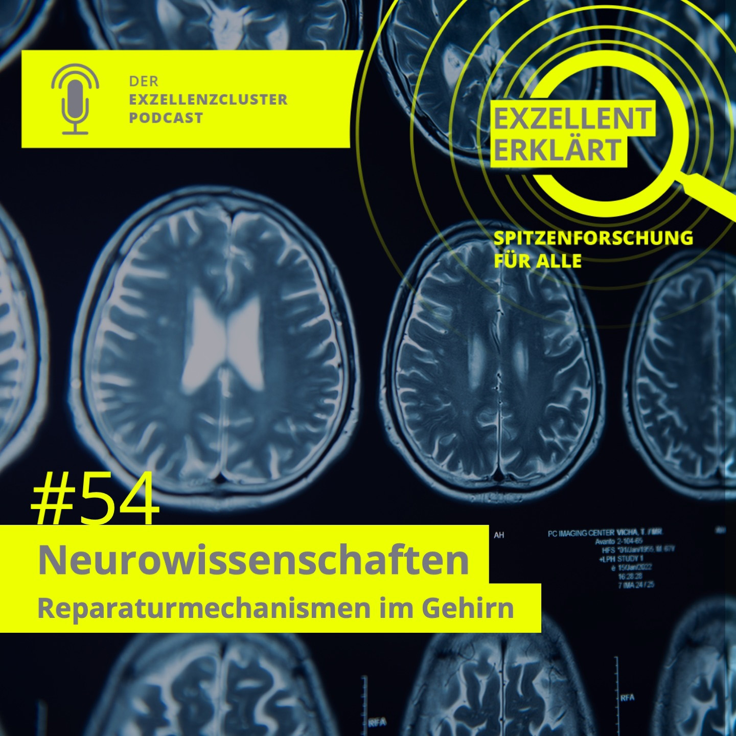 Exzellent erklärt - Spitzenforschung für alle