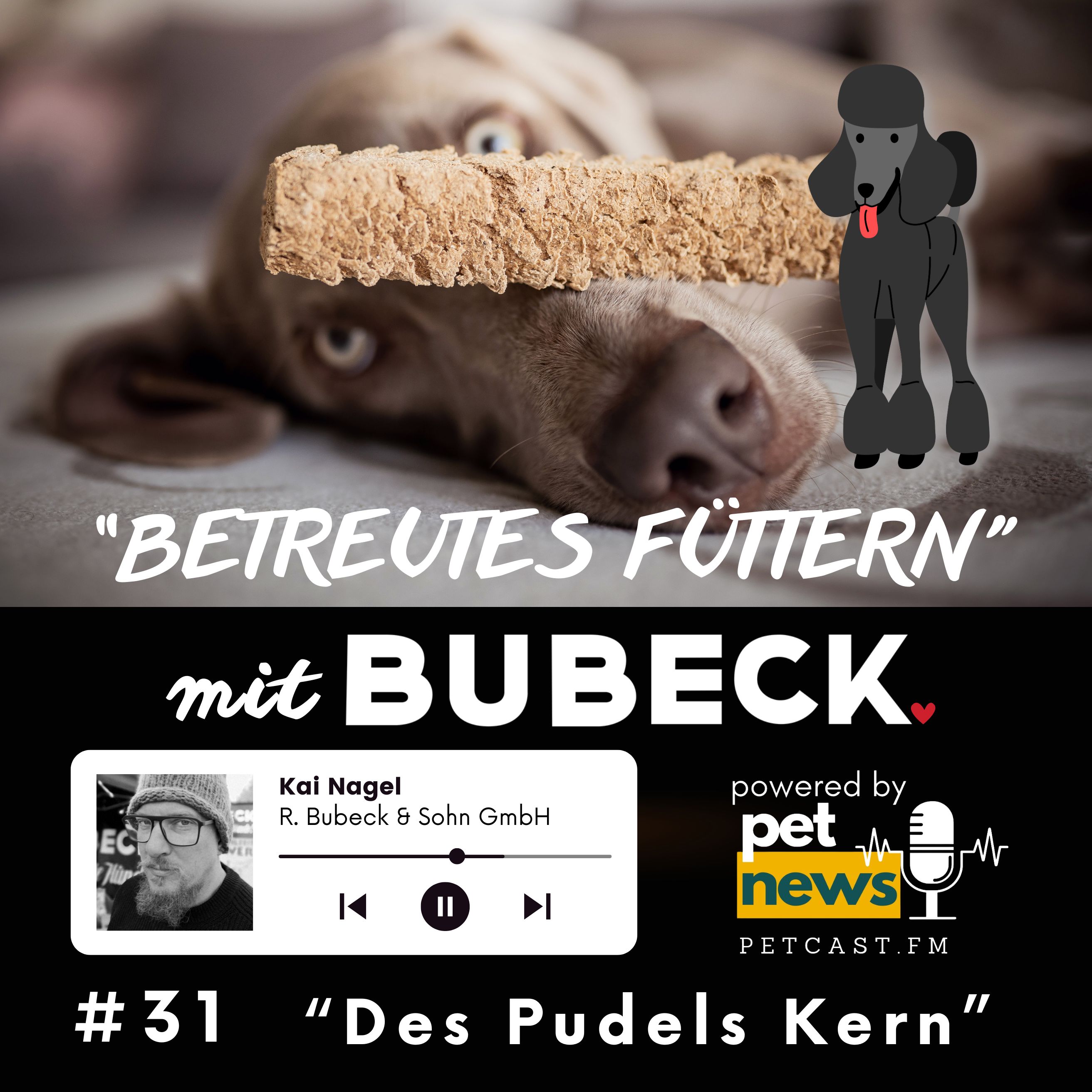 Betreutes Füttern mit Bubeck - Die älteste Hundefuttermanufaktur von 1893